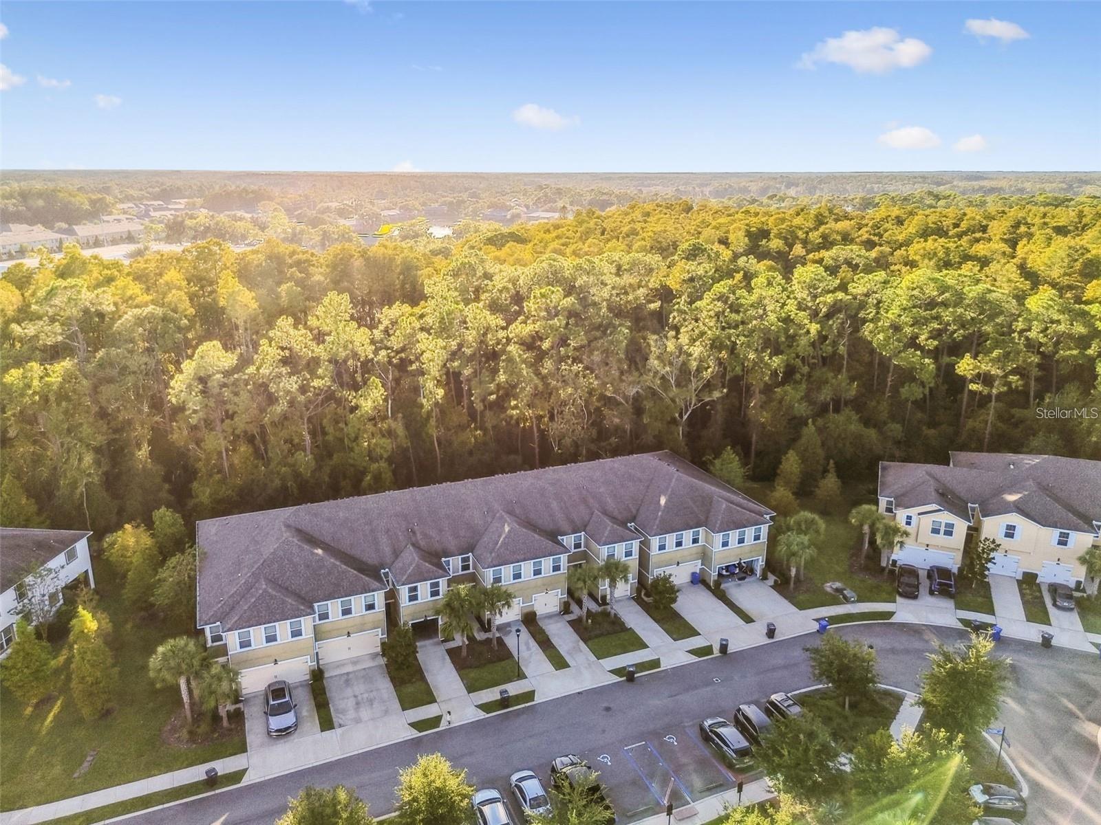 Image 38 of 46 For 17856 Althea Blue Place