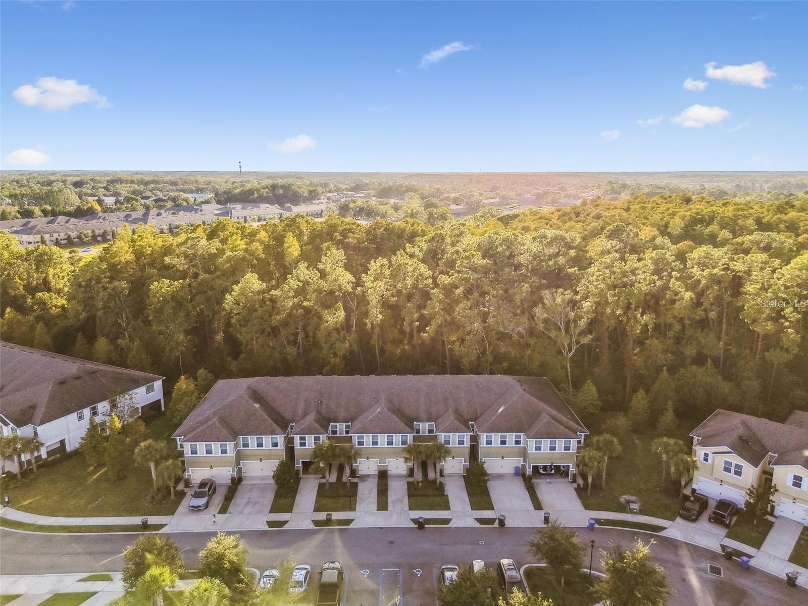 Image 39 of 46 For 17856 Althea Blue Place