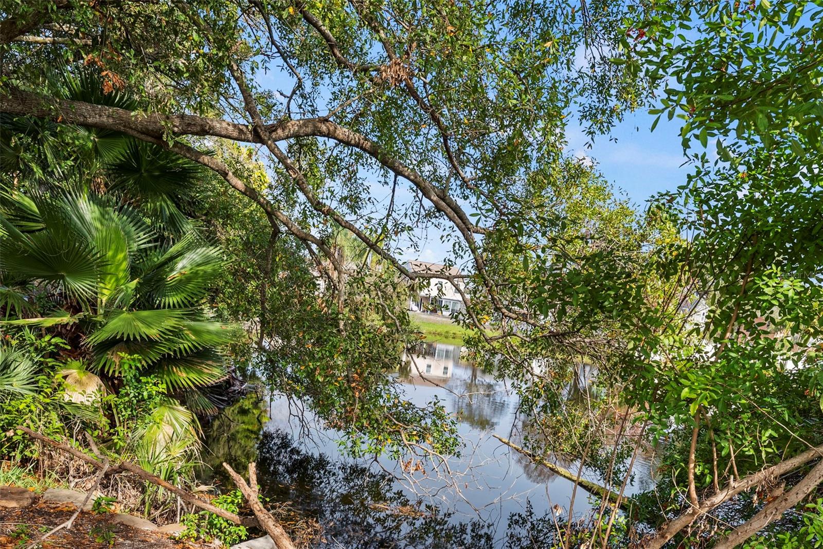 Image 37 of 43 For 7571 121st Avenue