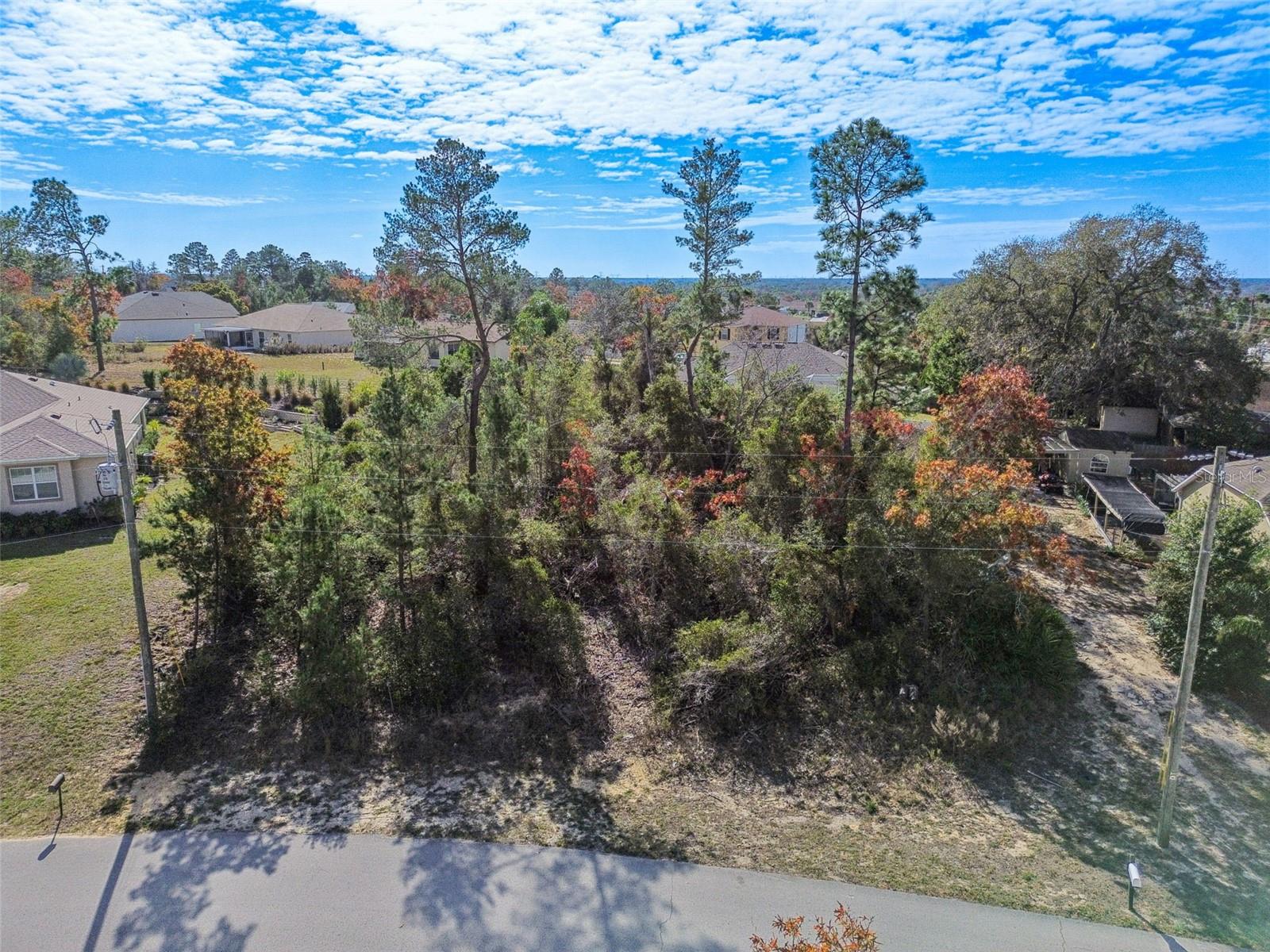 Details for 13014 Hanley Drive, Spring Hill, FL 34609