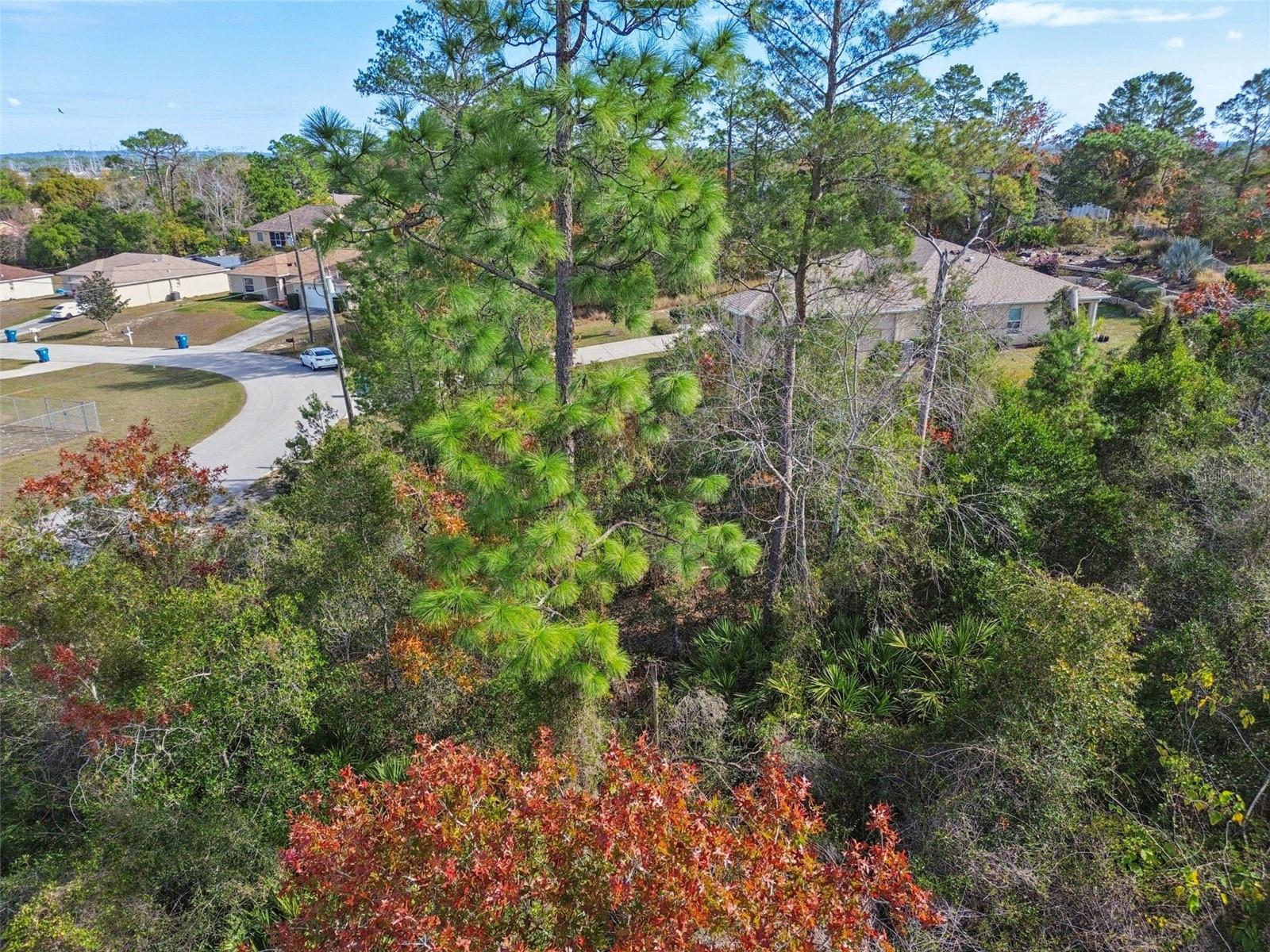 Image 6 of 33 For 13014 Hanley Drive