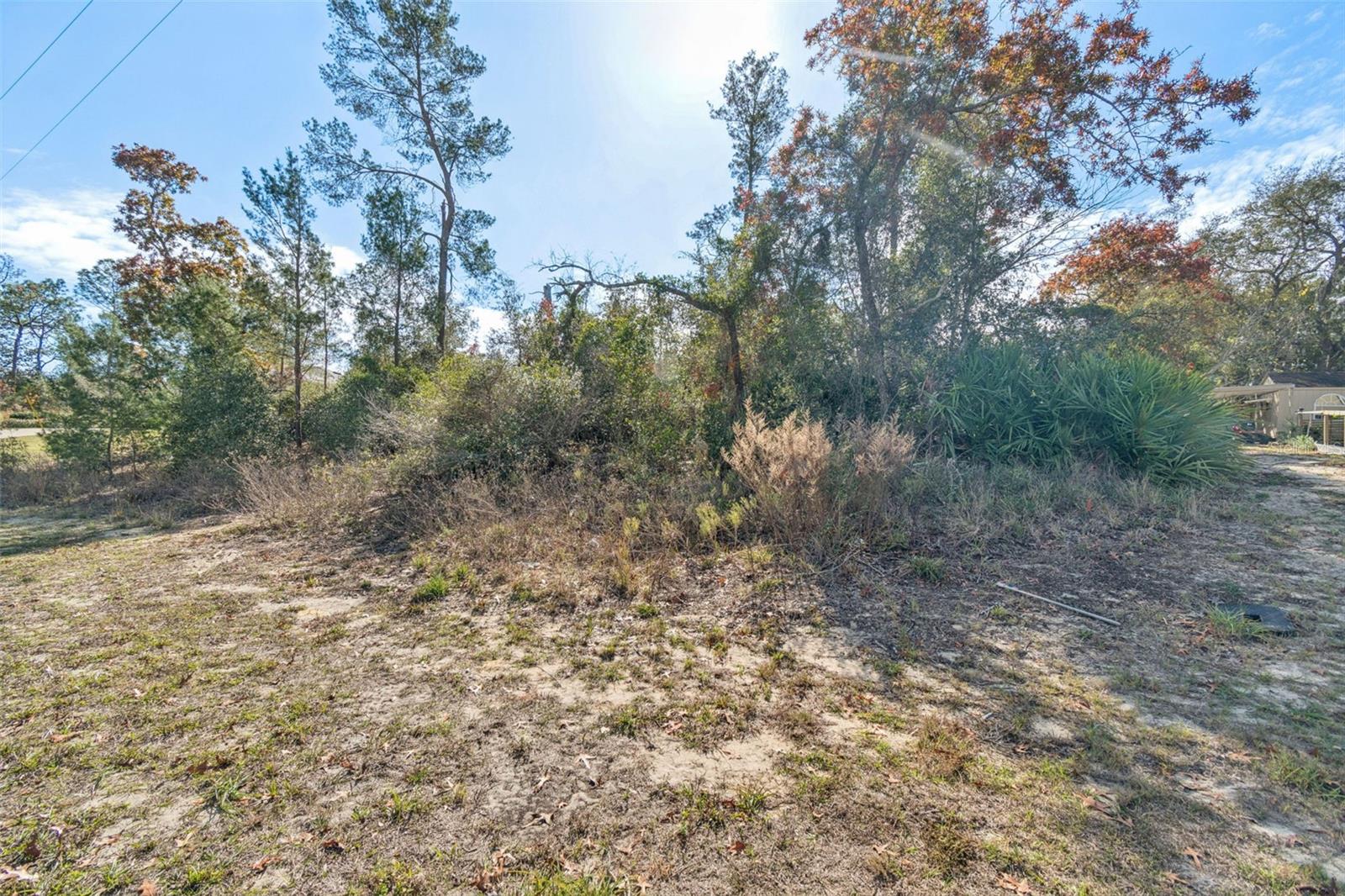 Image 8 of 33 For 13014 Hanley Drive