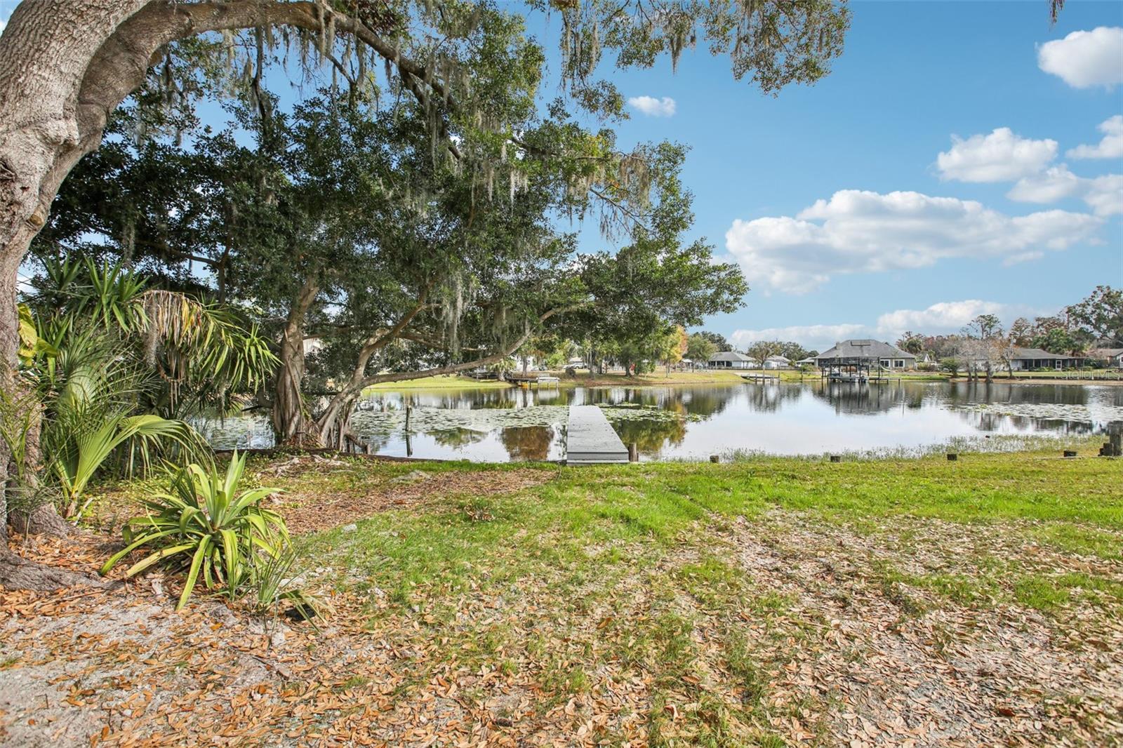 Details for 3120 Pine Shadow Drive, LAND O LAKES, FL 34639