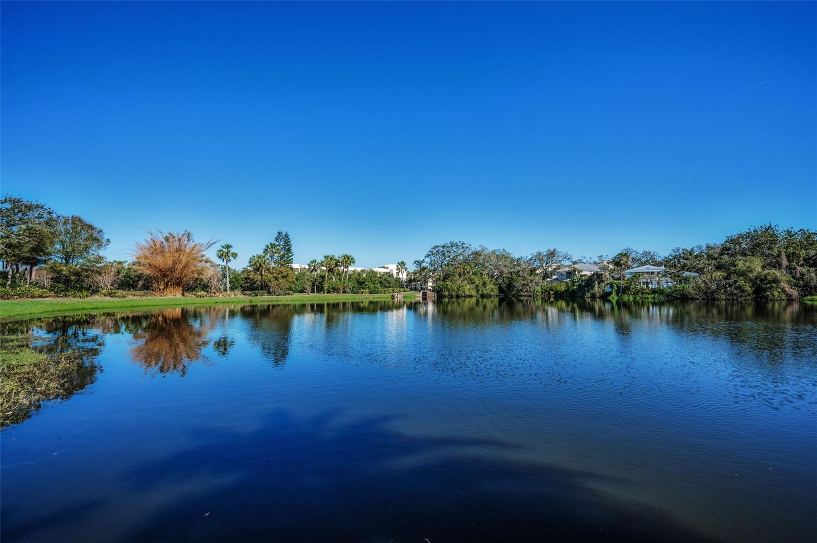 Image 46 of 57 For 150 Belleview Boulevard 503