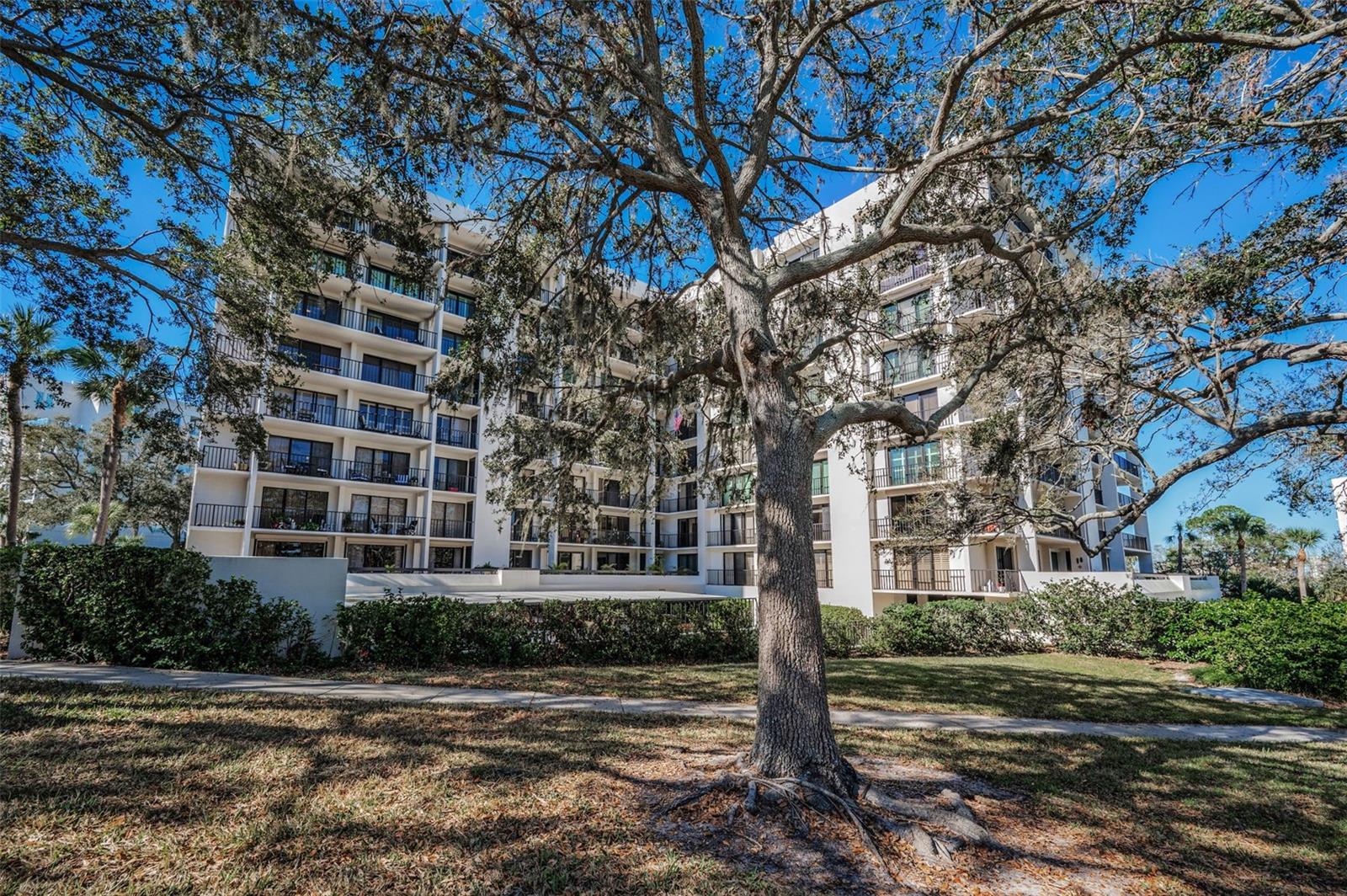 Image 57 of 57 For 150 Belleview Boulevard 503