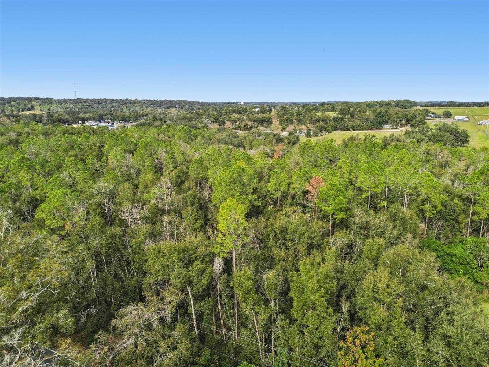 Image 4 of 21 For Centennial Road