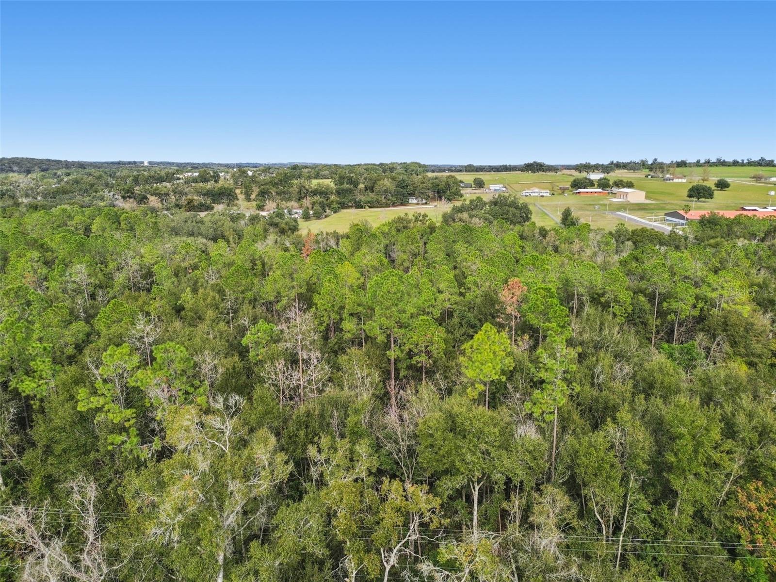 Image 5 of 21 For Centennial Road