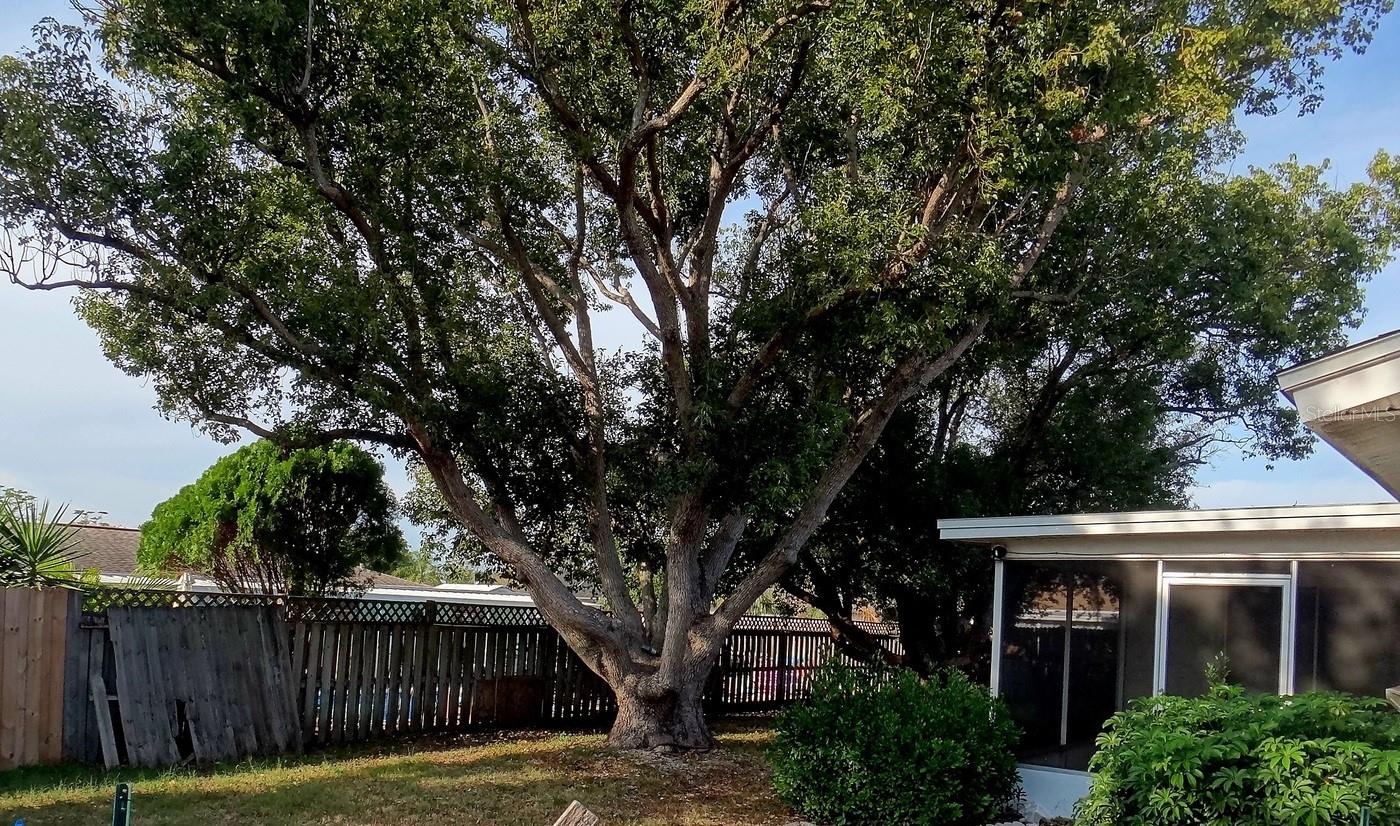 Image 11 of 11 For 11539 Meredith Lane