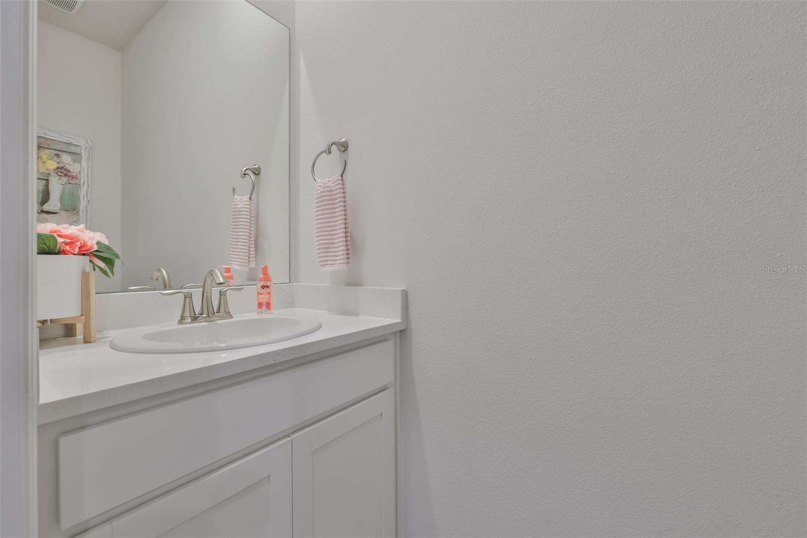 Image 30 of 47 For 5640 Silver Moonlight Drive