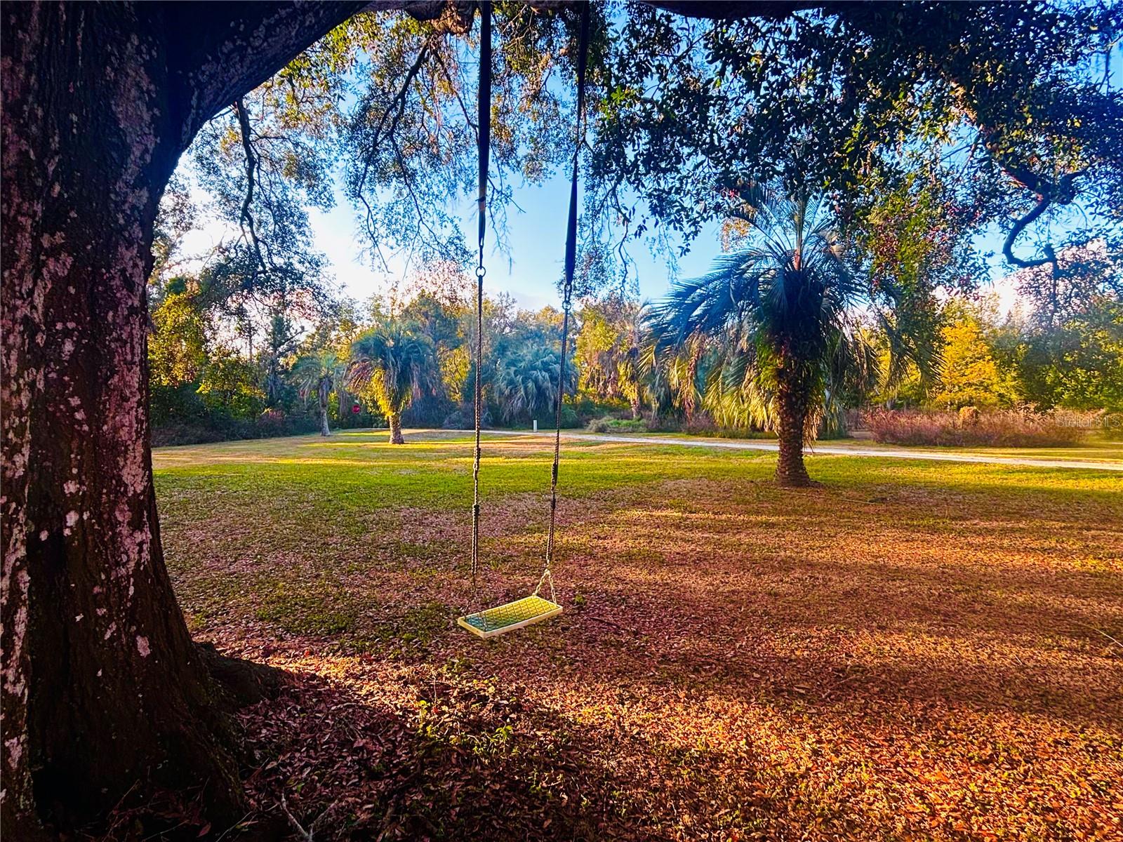 Image 49 of 56 For 37252 Hilltop Drive