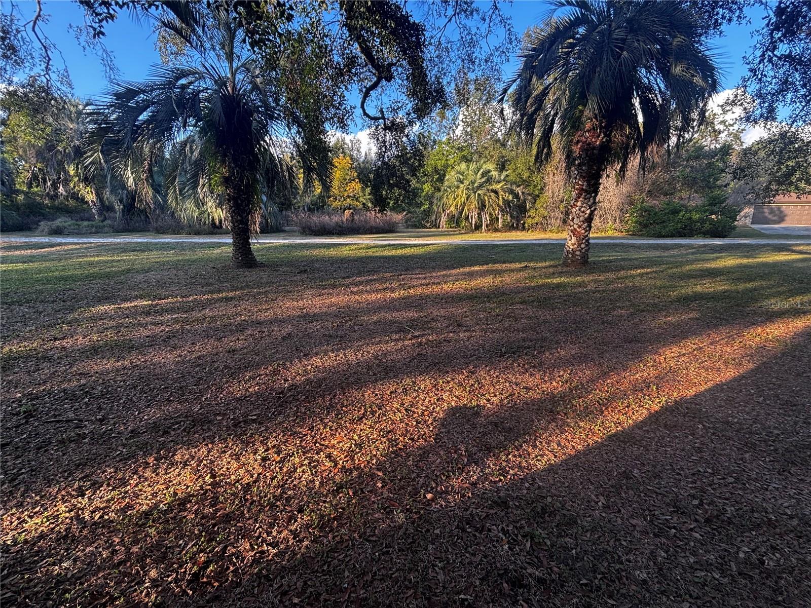 Image 50 of 56 For 37252 Hilltop Drive