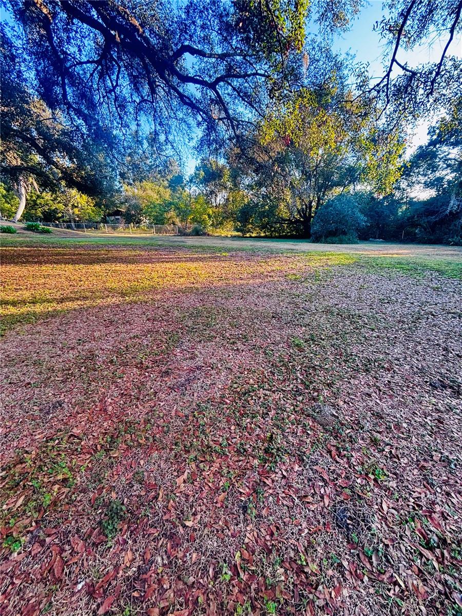 Image 53 of 56 For 37252 Hilltop Drive