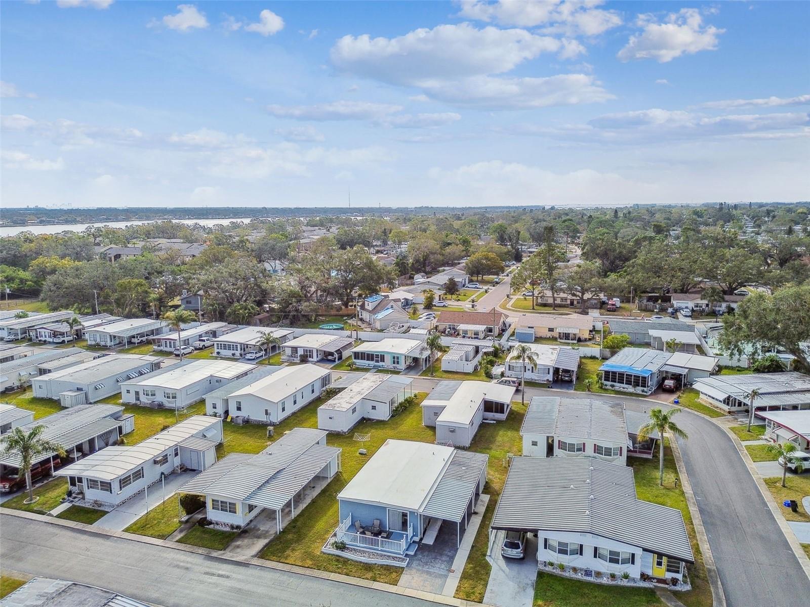 Image 41 of 73 For 12651 Seminole Boulevard 2c