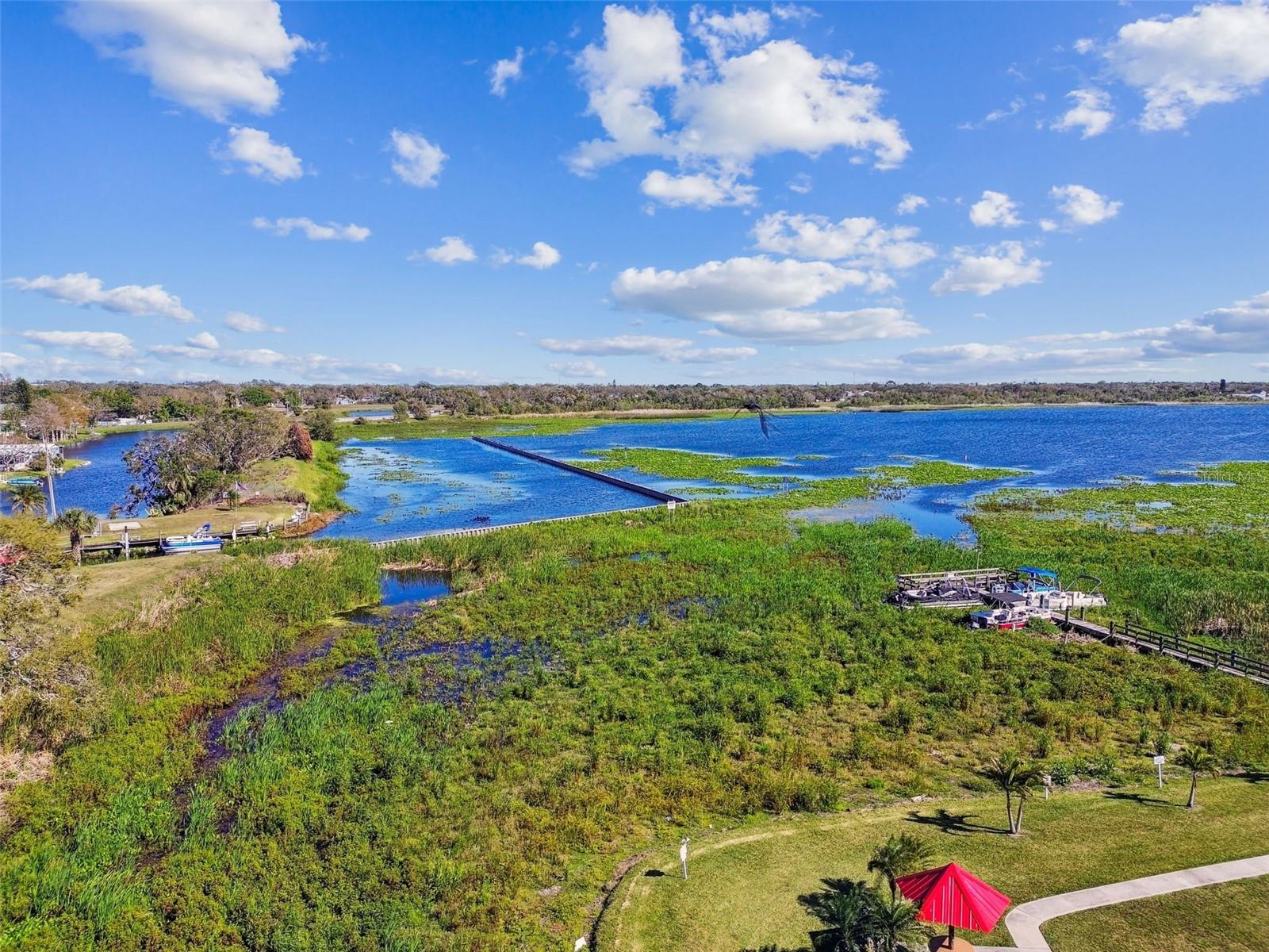 Image 49 of 73 For 12651 Seminole Boulevard 2c