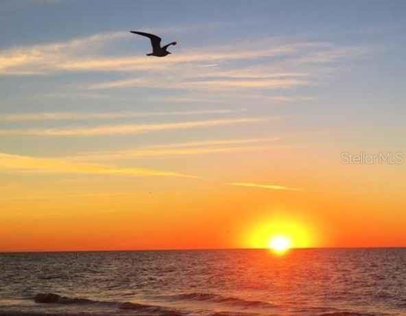 Image 11 of 12 For 17920 Gulf Boulevard 1508