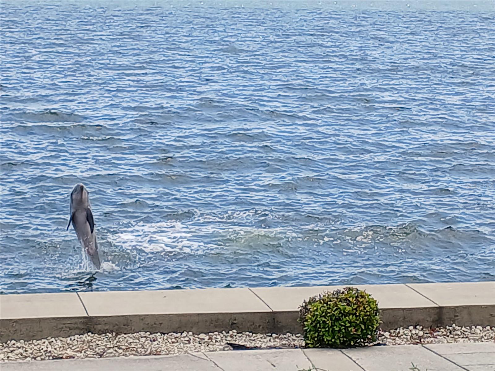 Image 34 of 44 For 19029 Us Highway 19 N 29e