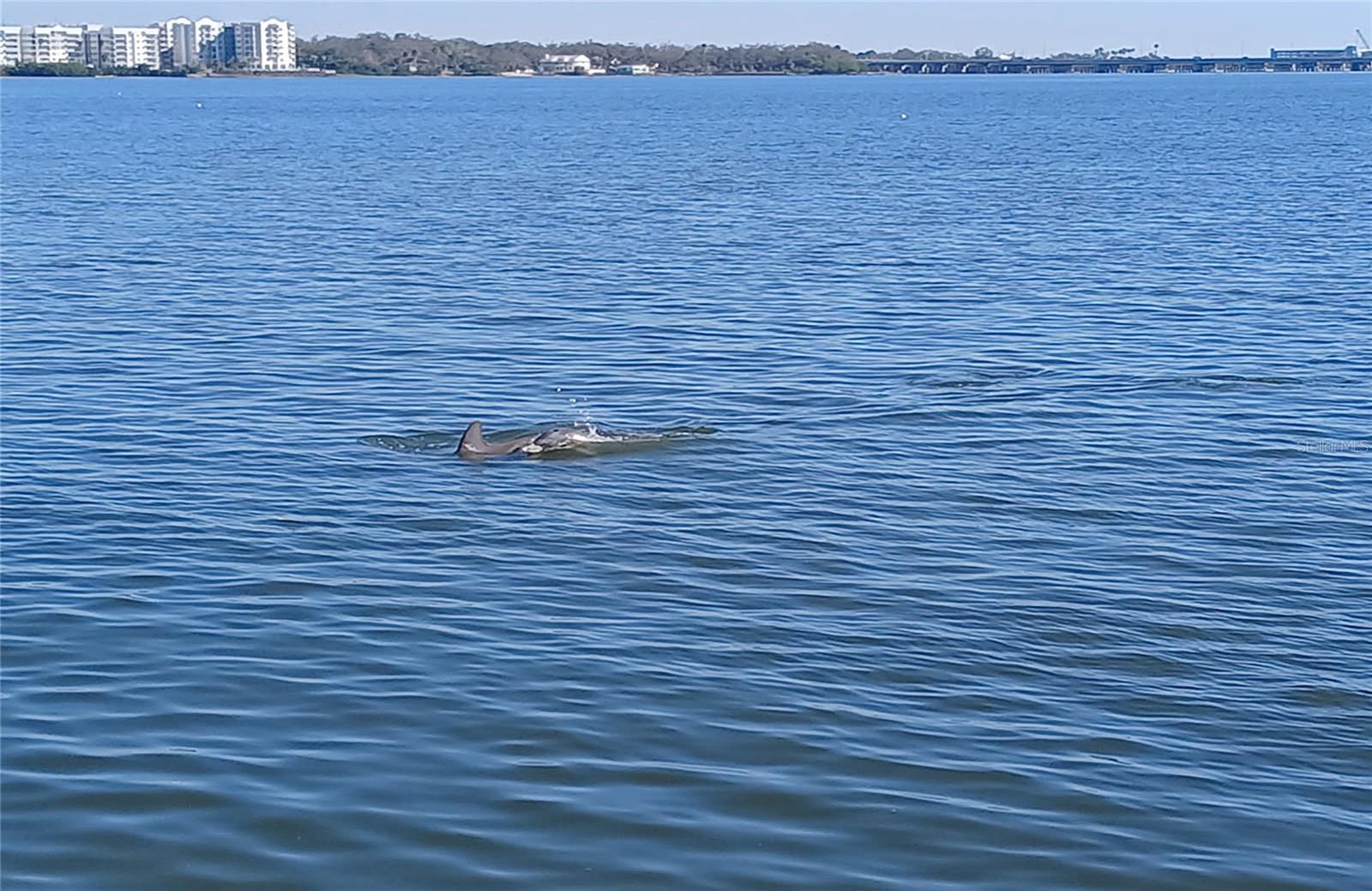 Image 36 of 44 For 19029 Us Highway 19 N 29e