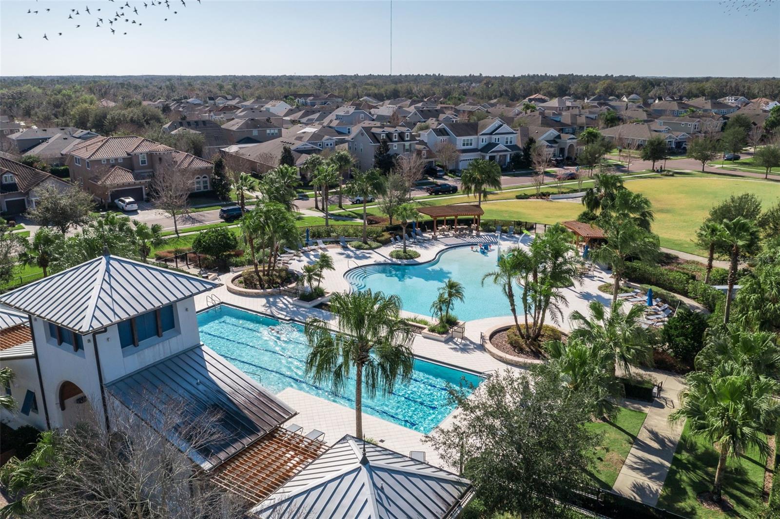 Image 30 of 40 For 5807 Circa Fishhawk Boulevard