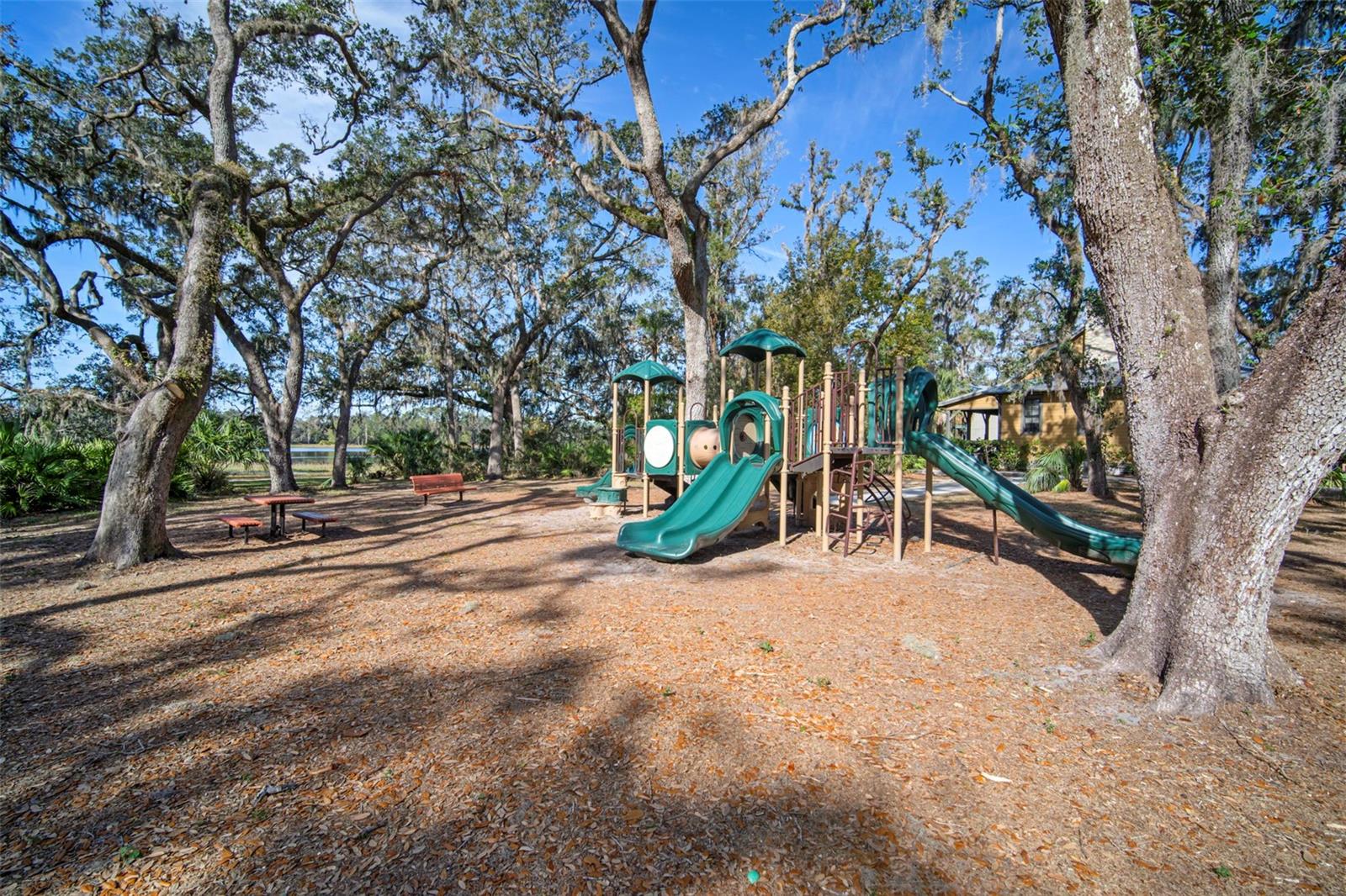 Image 35 of 40 For 5807 Circa Fishhawk Boulevard