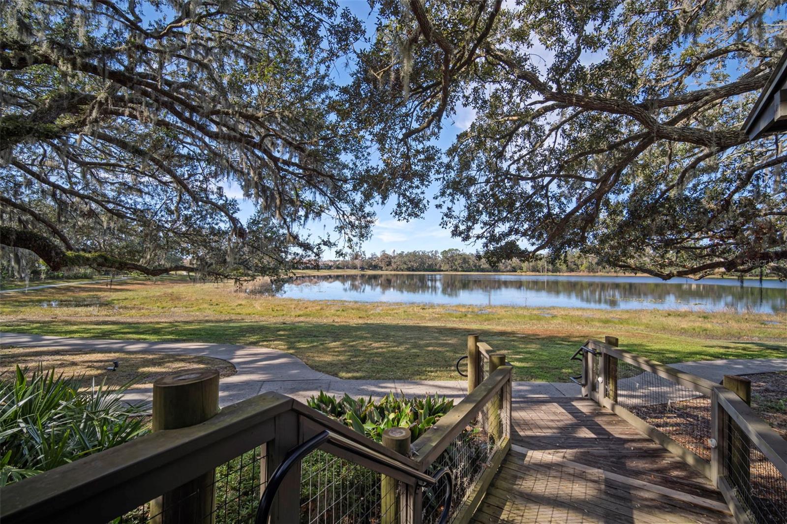 Image 37 of 40 For 5807 Circa Fishhawk Boulevard