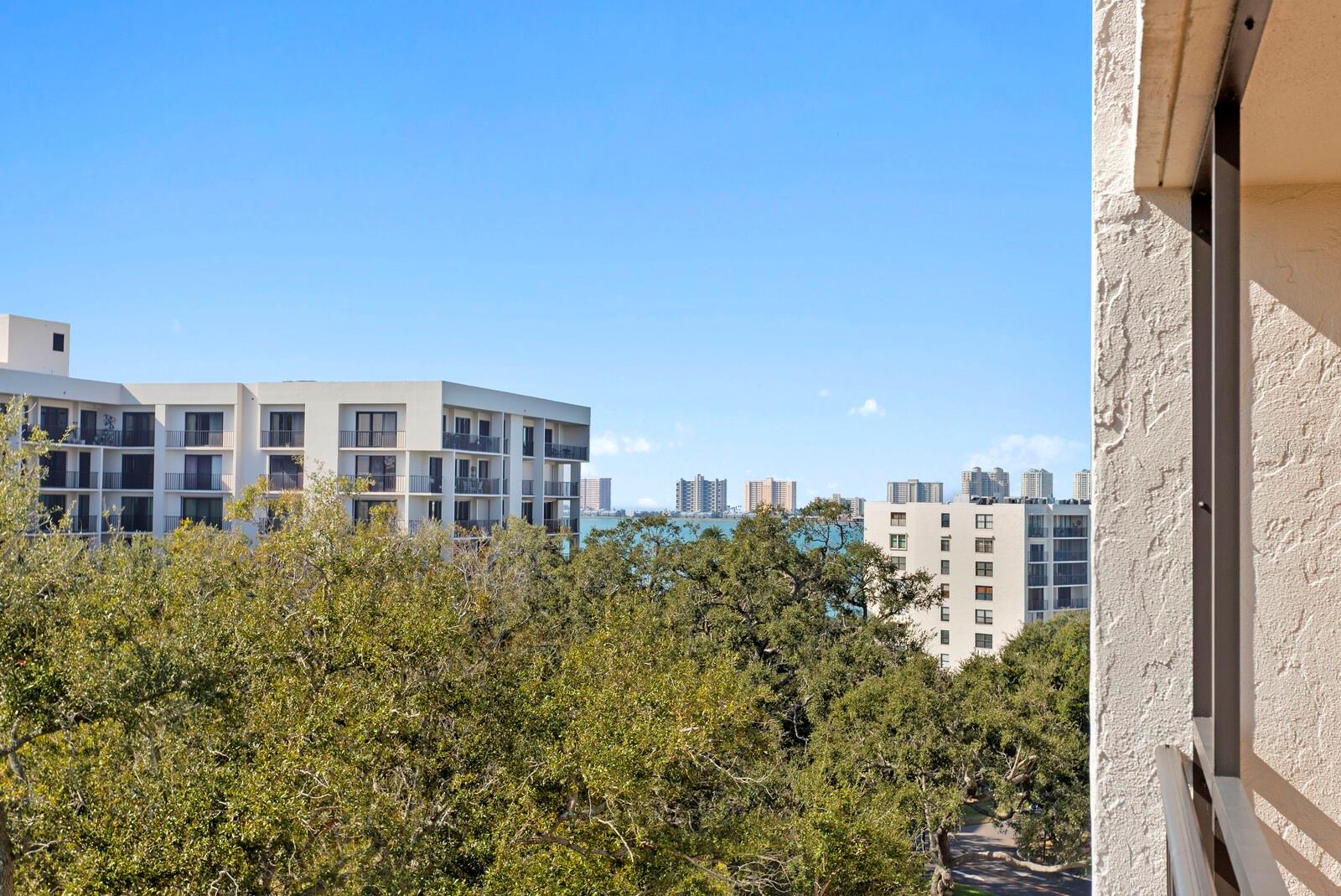 Image 29 of 50 For 220 Belleview Boulevard 702