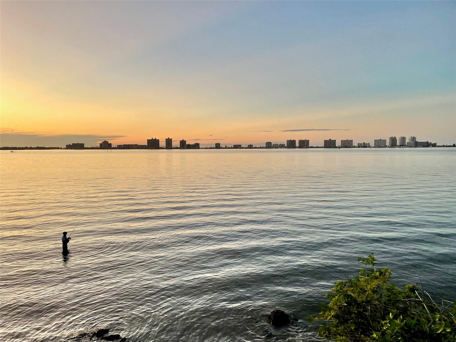 Image 43 of 50 For 220 Belleview Boulevard 702