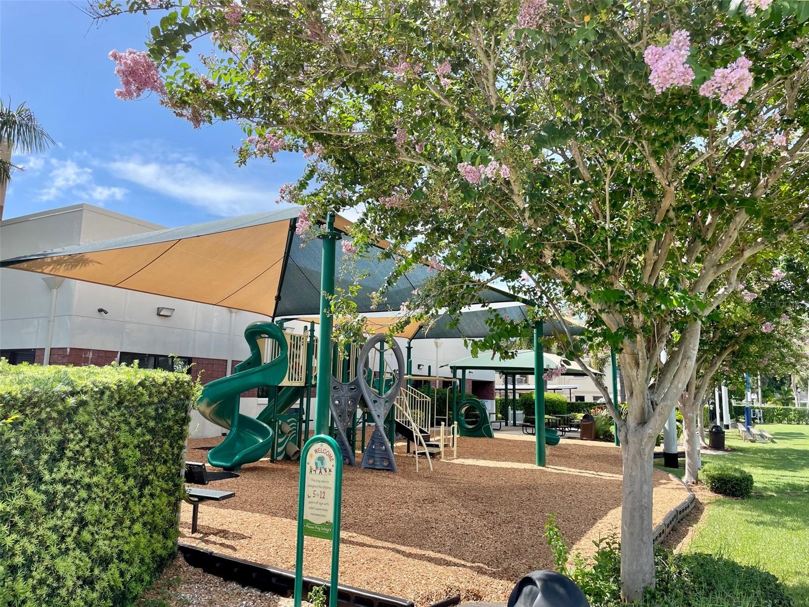 Image 46 of 50 For 220 Belleview Boulevard 702