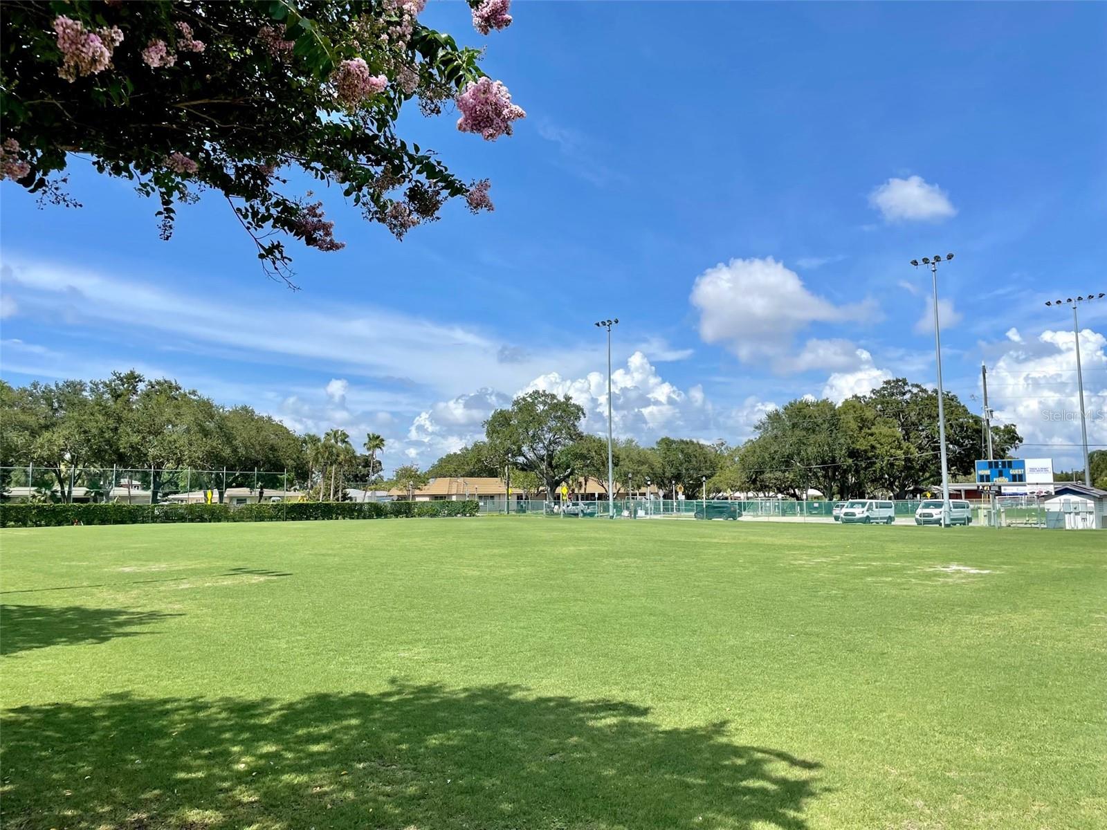 Image 47 of 50 For 220 Belleview Boulevard 702