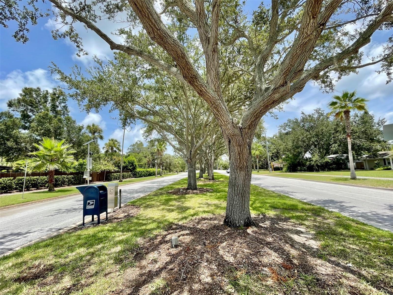 Image 49 of 50 For 220 Belleview Boulevard 702