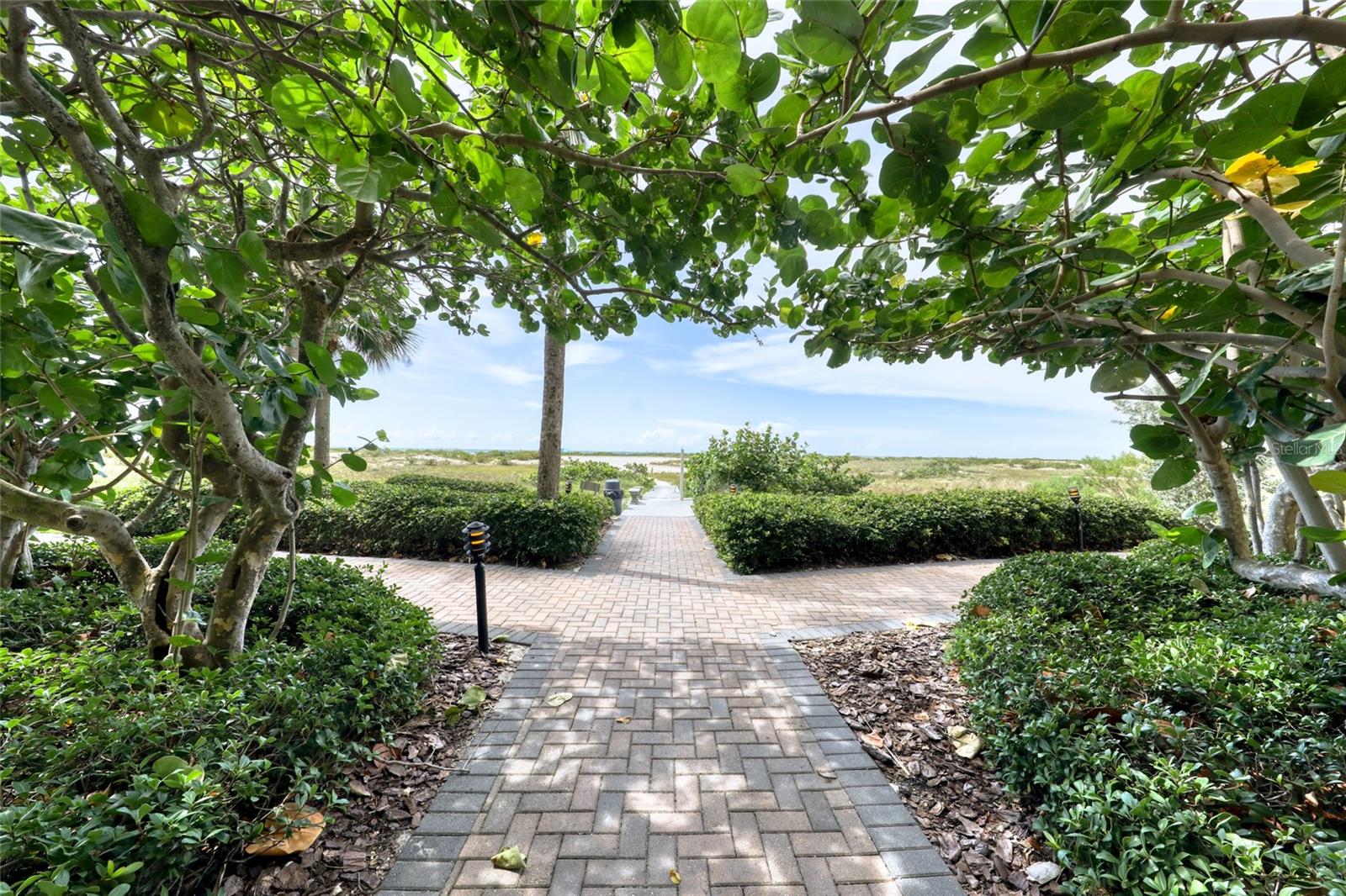 Image 33 of 45 For 1290 Gulf Boulevard 903