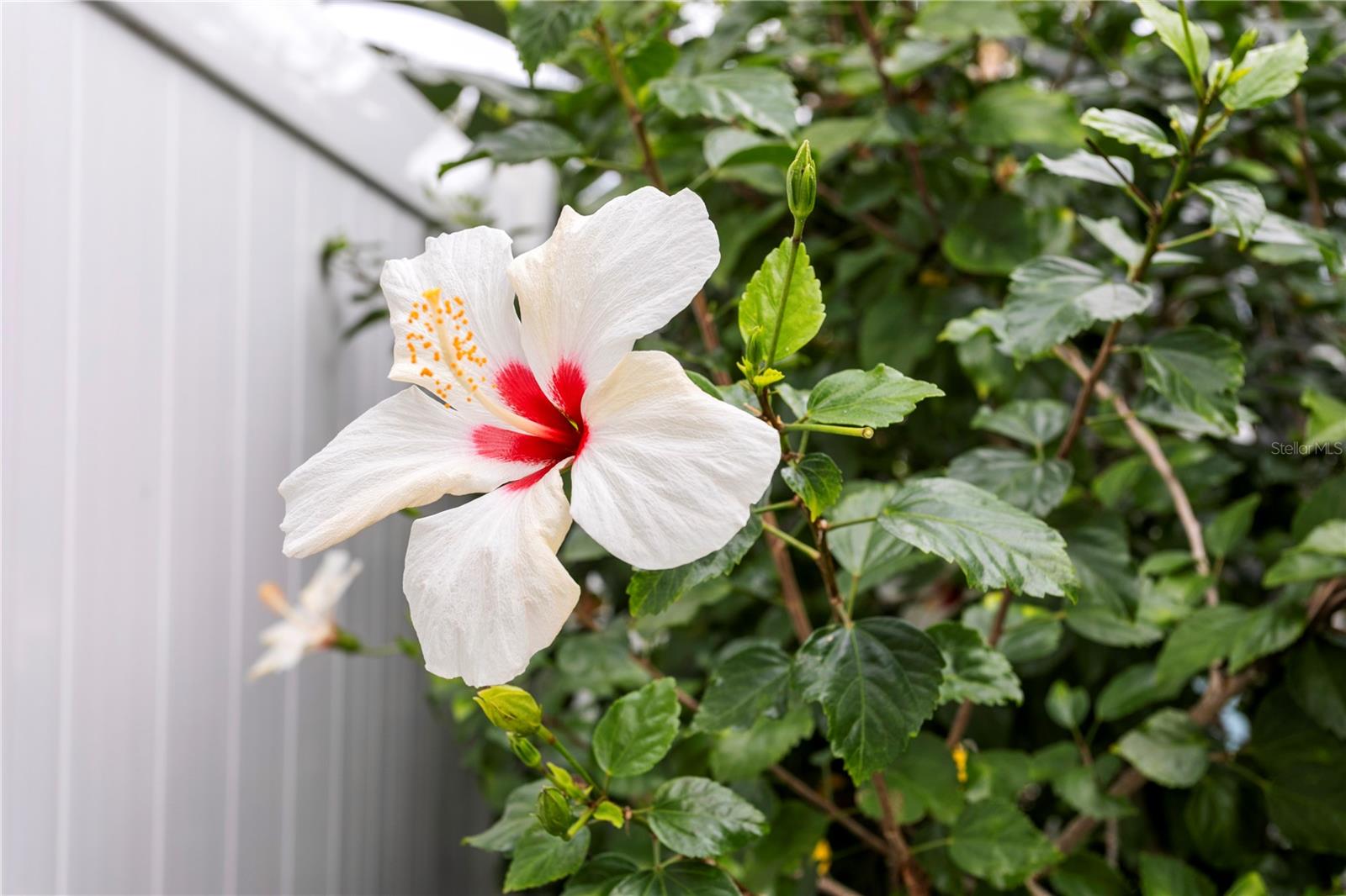 Listing photo id 45 for 11206 Pocket Brook