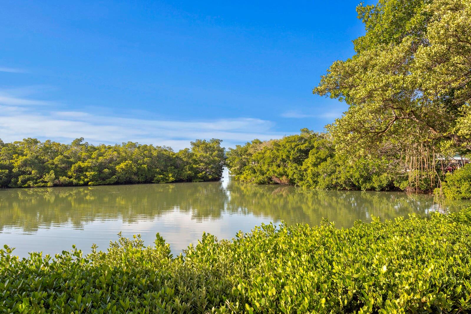 Image 36 of 70 For 7050 Sunset Drive S 801