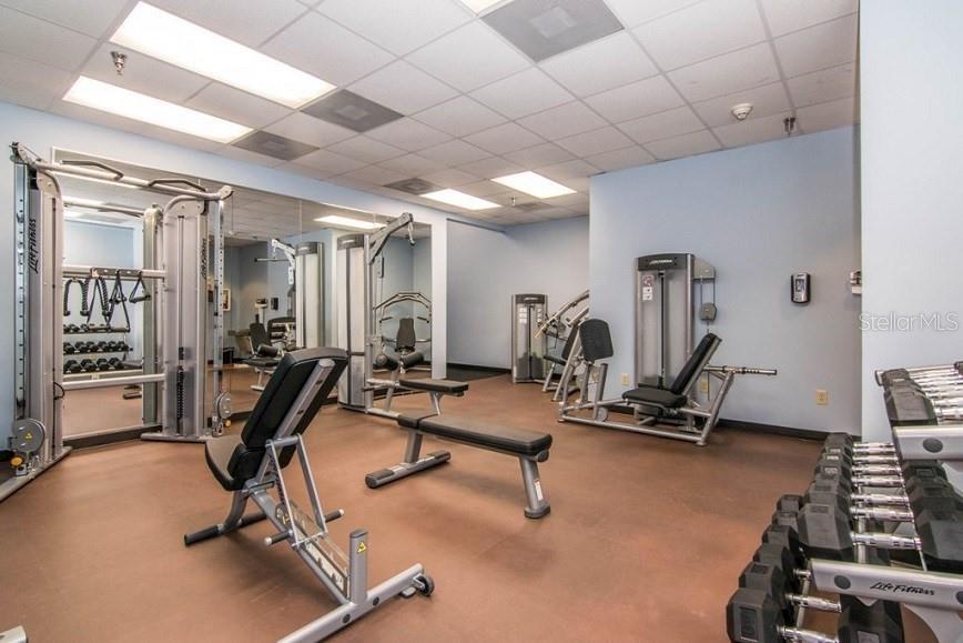 Image 23 of 29 For 345 Bayshore Boulevard 1712