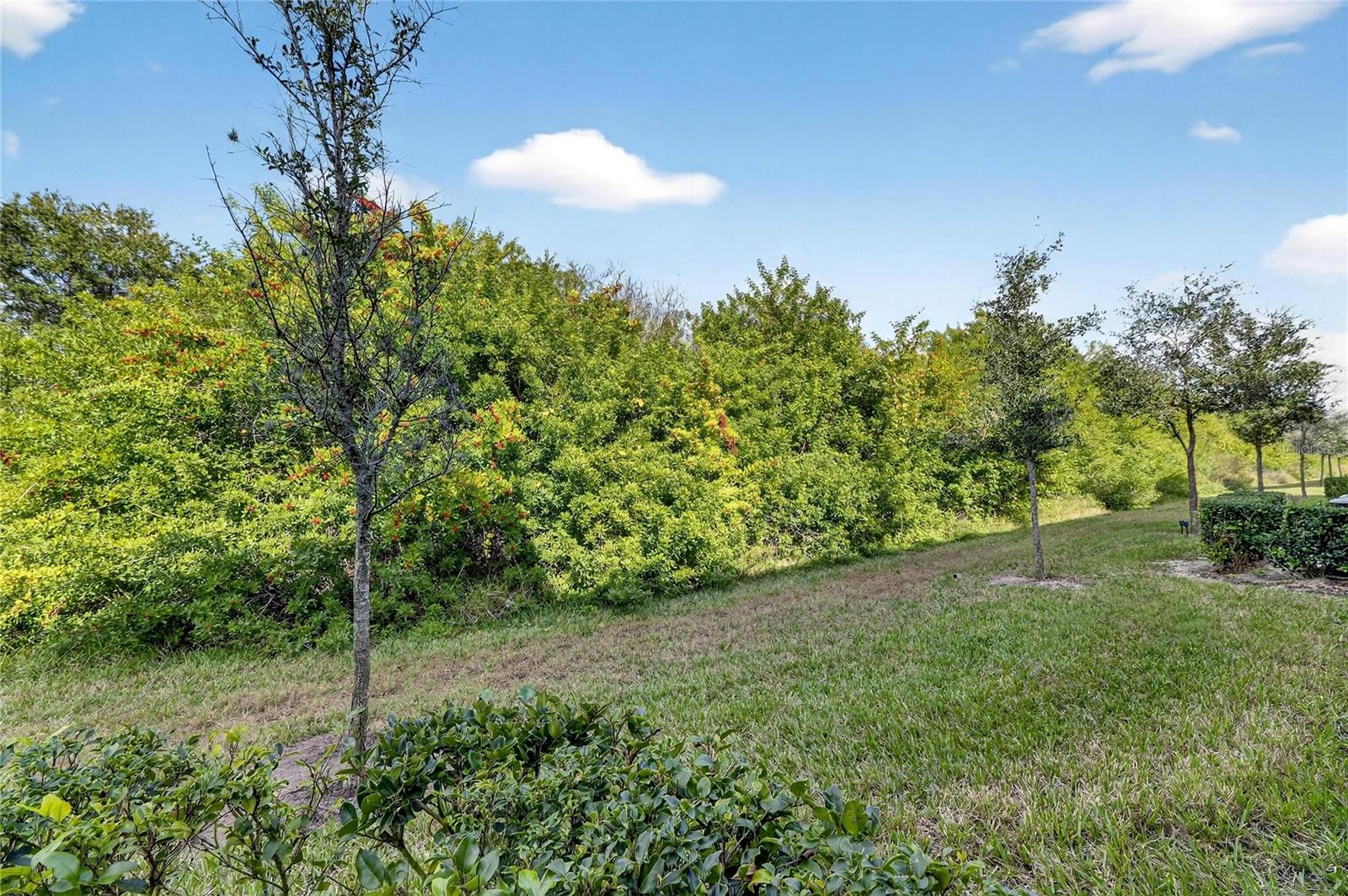 Image 59 of 62 For 9652 Pembrooke Pines Drive