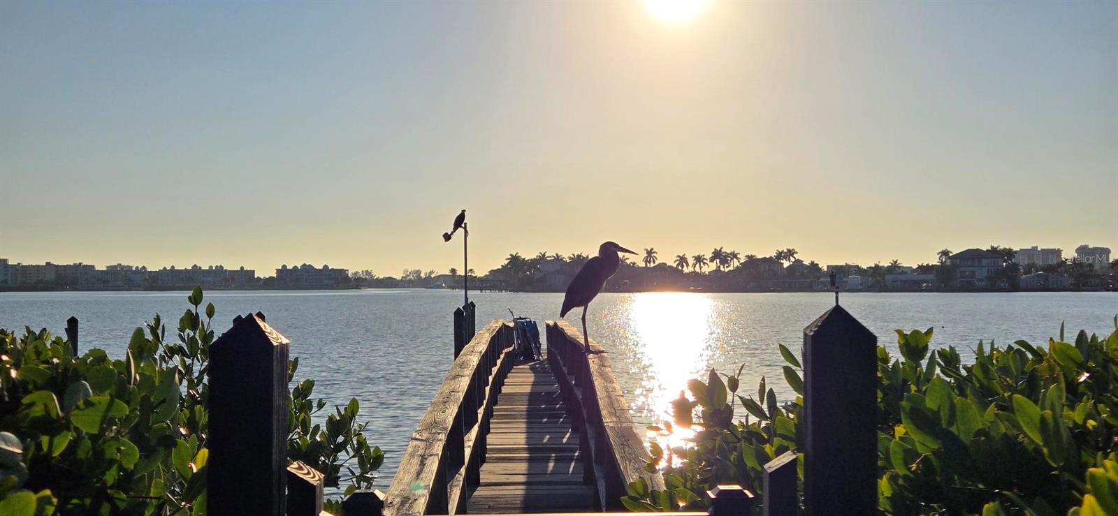 Image 4 of 44 For 6970a Place De La Paix  2b