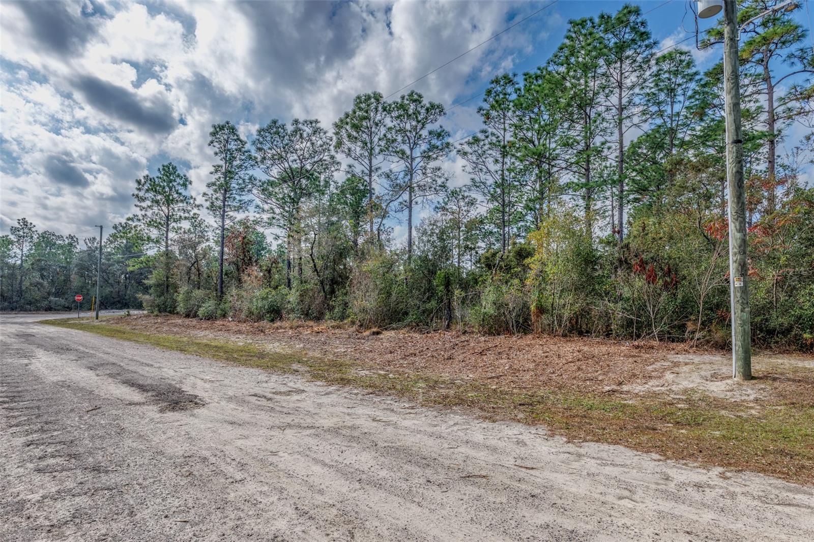 Image 10 of 13 For 7082 Treehaven Terrace