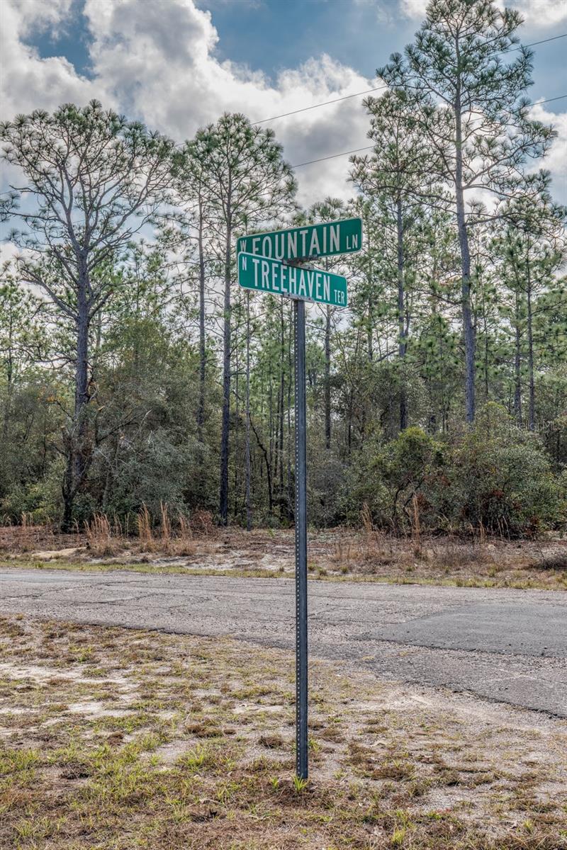 Image 11 of 13 For 7082 Treehaven Terrace