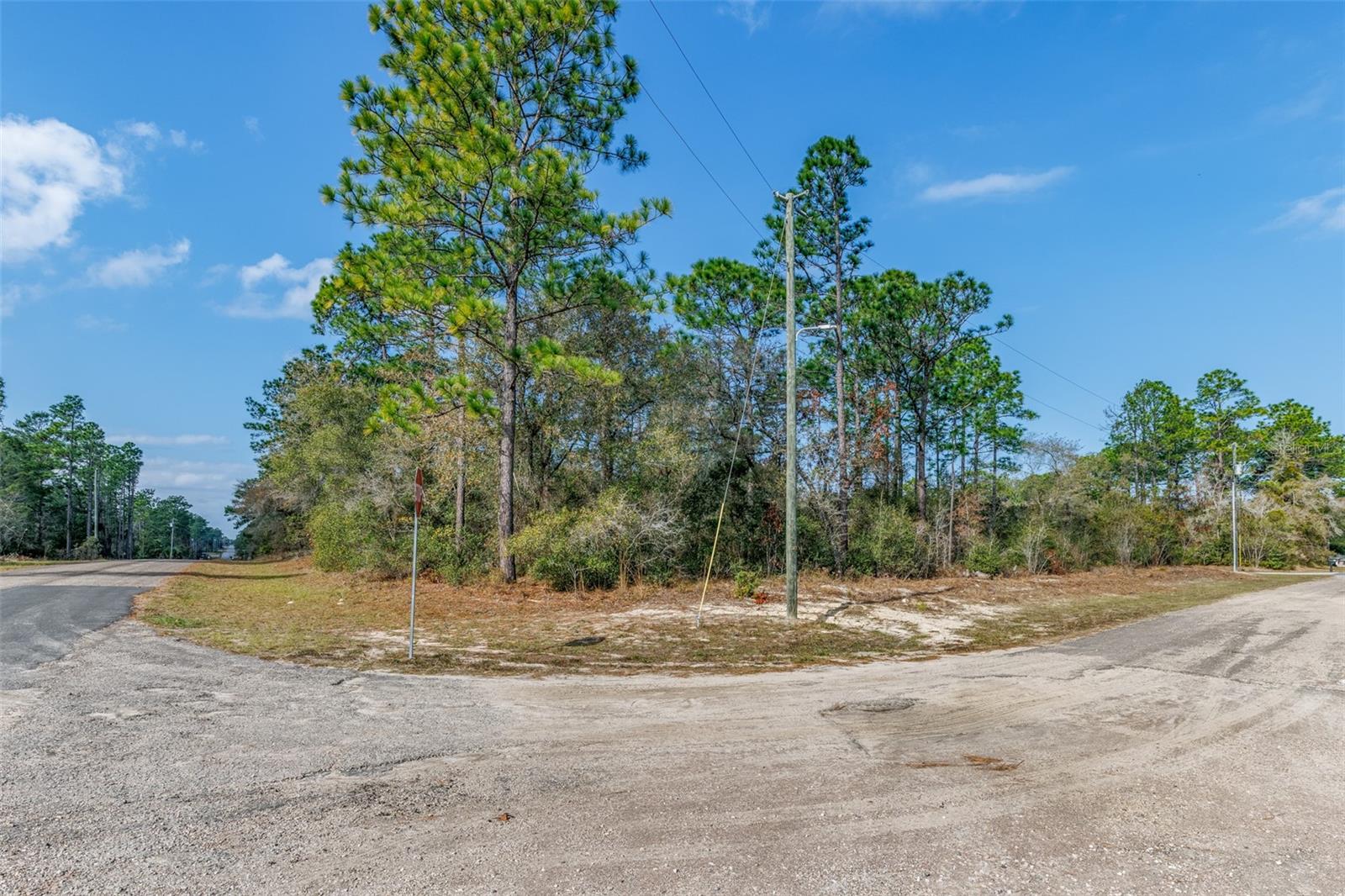 Image 12 of 13 For 7082 Treehaven Terrace