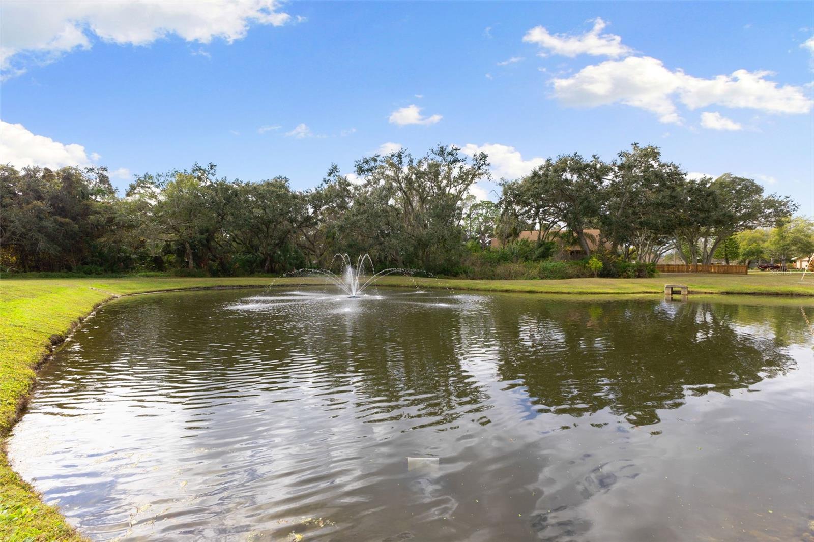 Image 50 of 66 For 12305 Twin Branch Acres Road