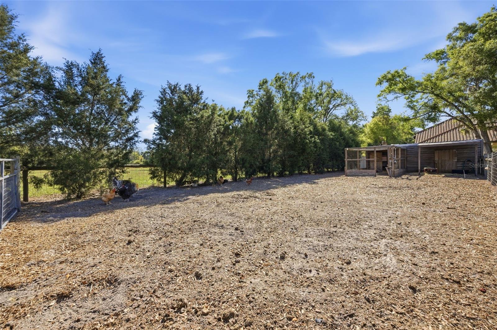 Listing photo id 63 for 3752 Old Keystone Road