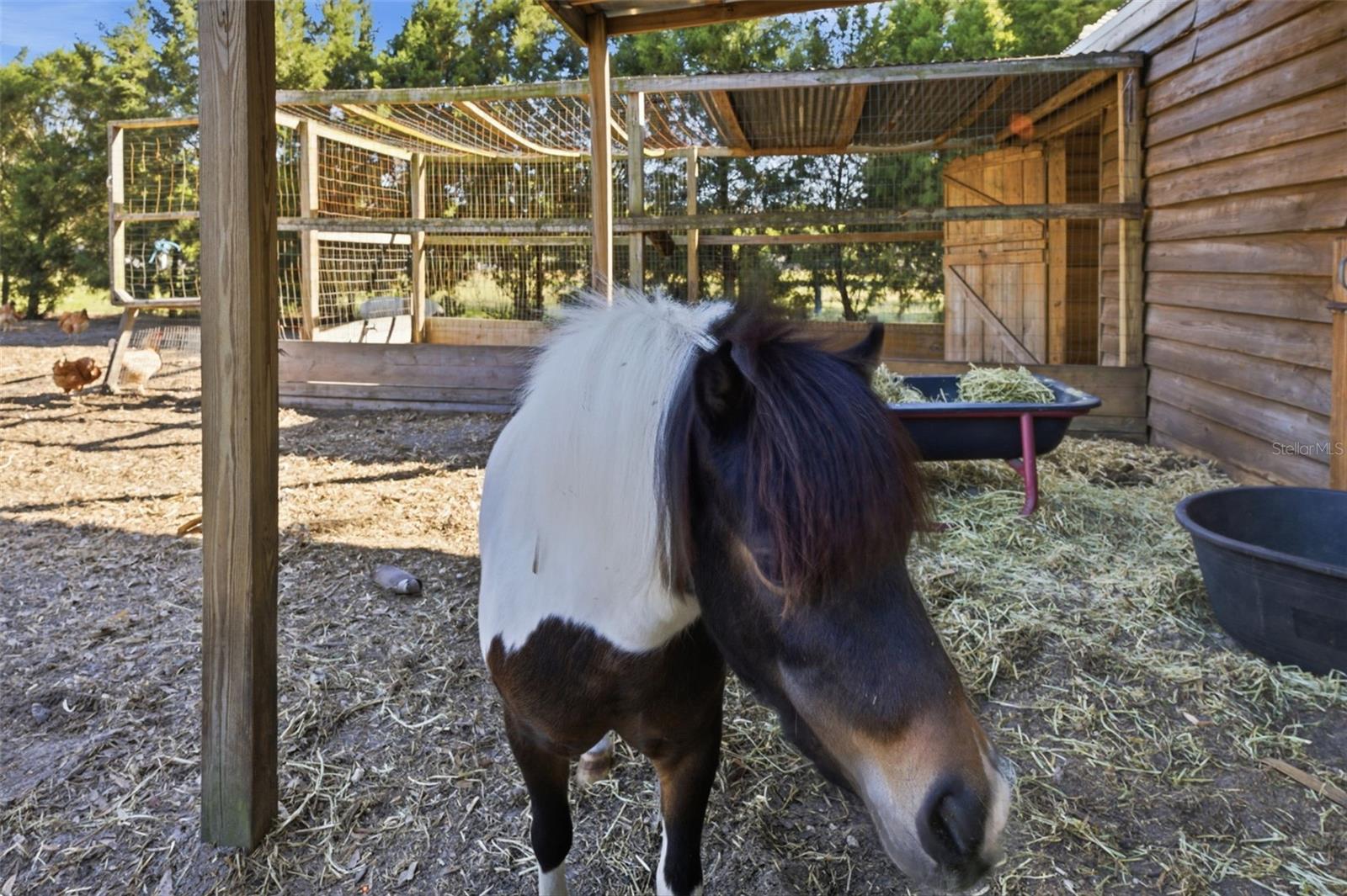 Listing photo id 65 for 3752 Old Keystone Road