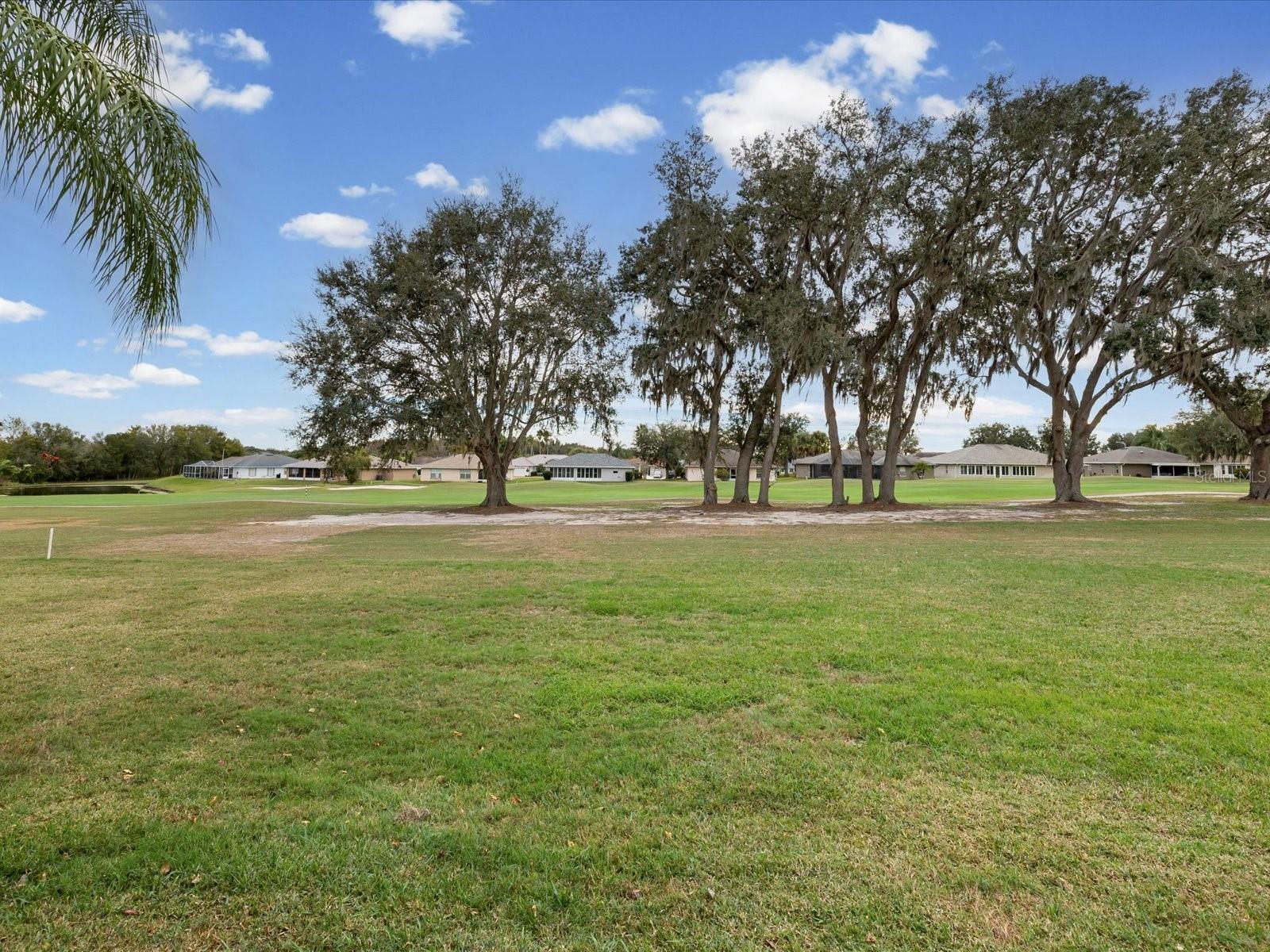 Image 33 of 74 For 29146 Princeville Drive