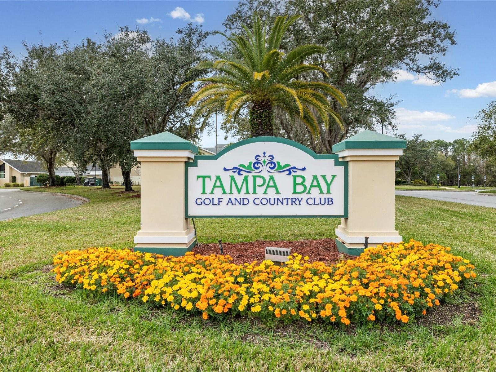 Image 41 of 74 For 29146 Princeville Drive