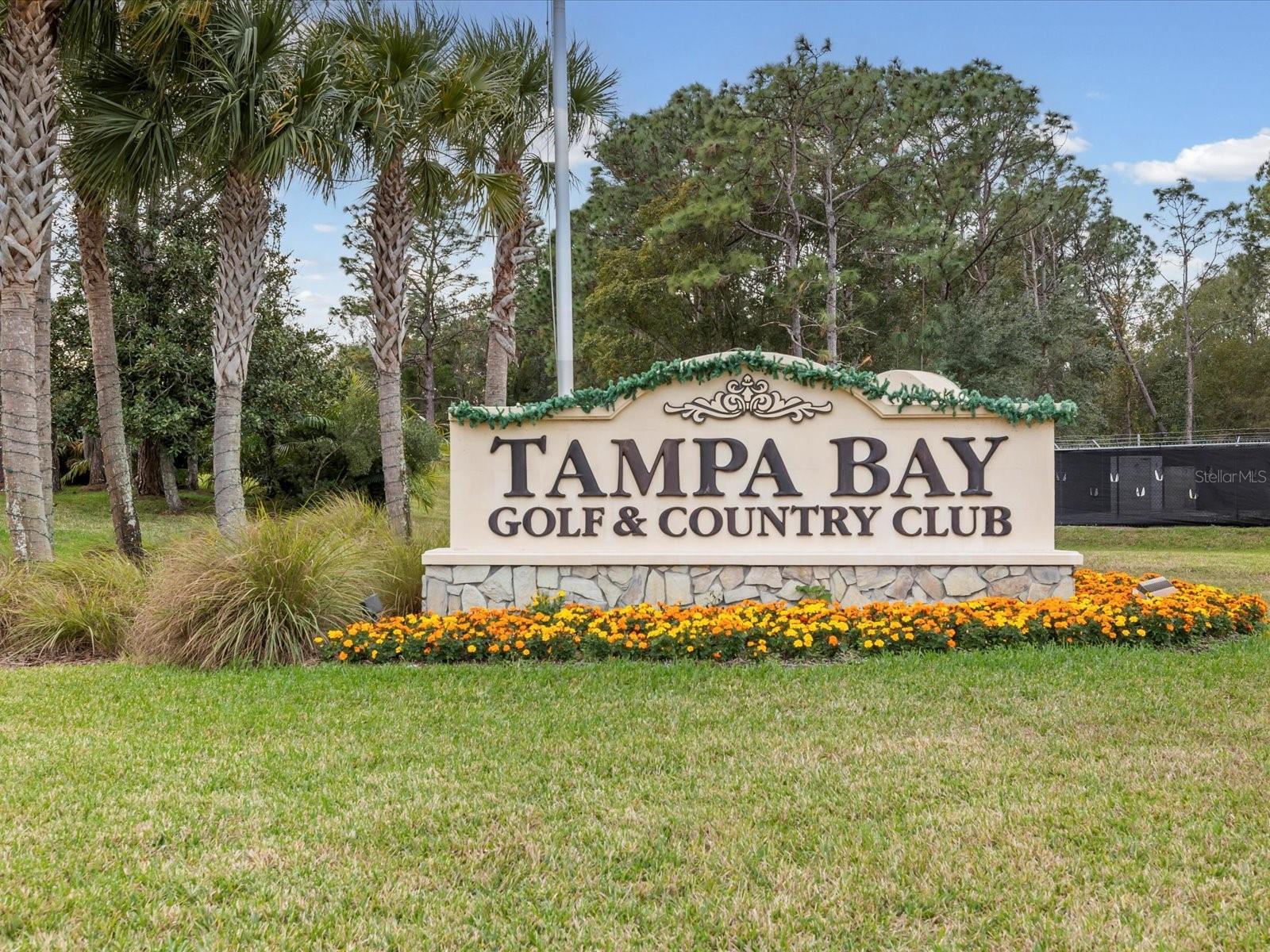 Image 57 of 74 For 29146 Princeville Drive