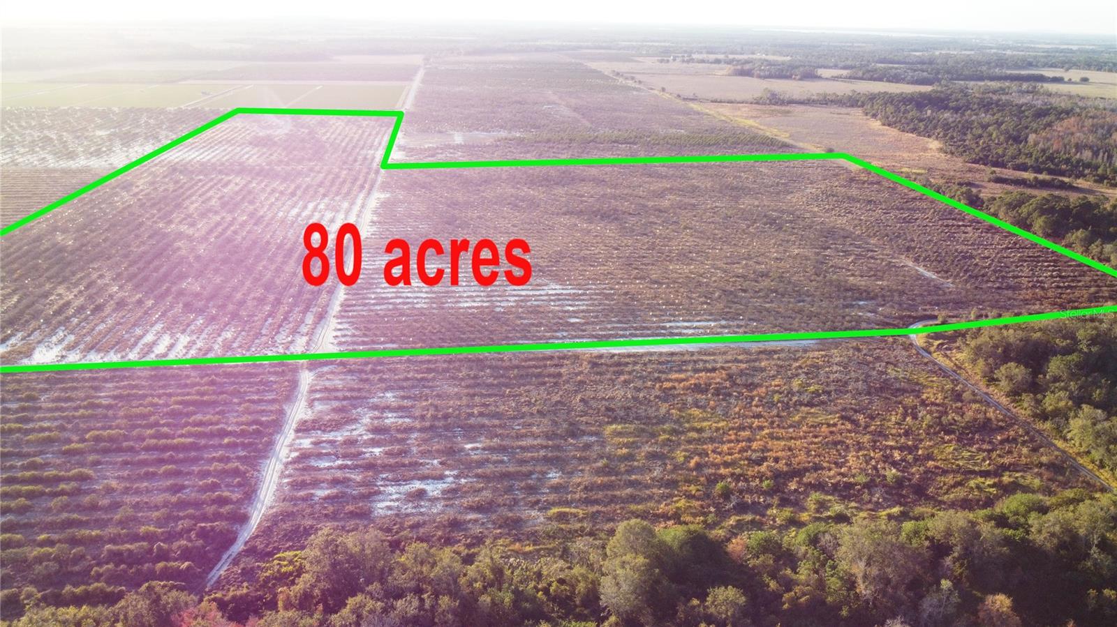 Image 3 of 12 For 627 Raulerson Road