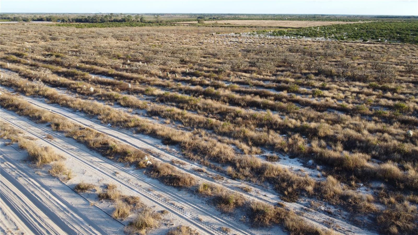 Image 6 of 12 For 627 Raulerson Road