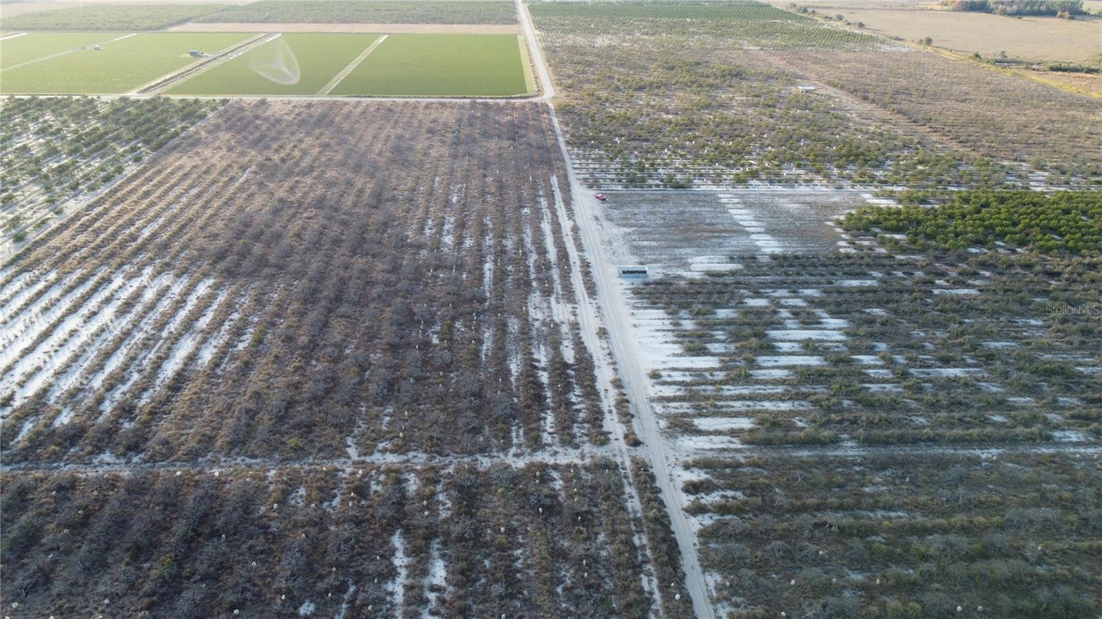 Image 7 of 12 For 627 Raulerson Road