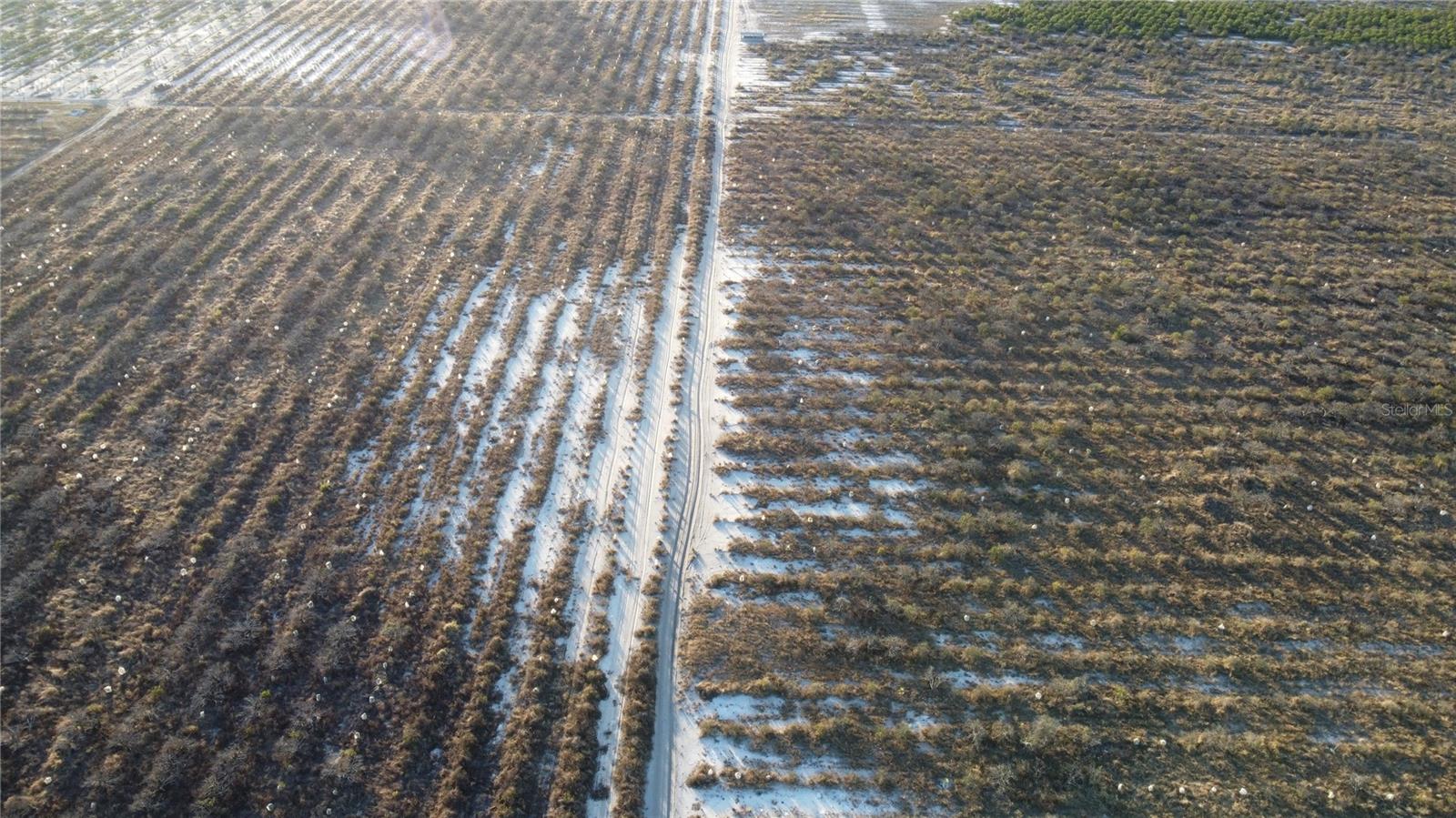 Image 9 of 12 For 627 Raulerson Road