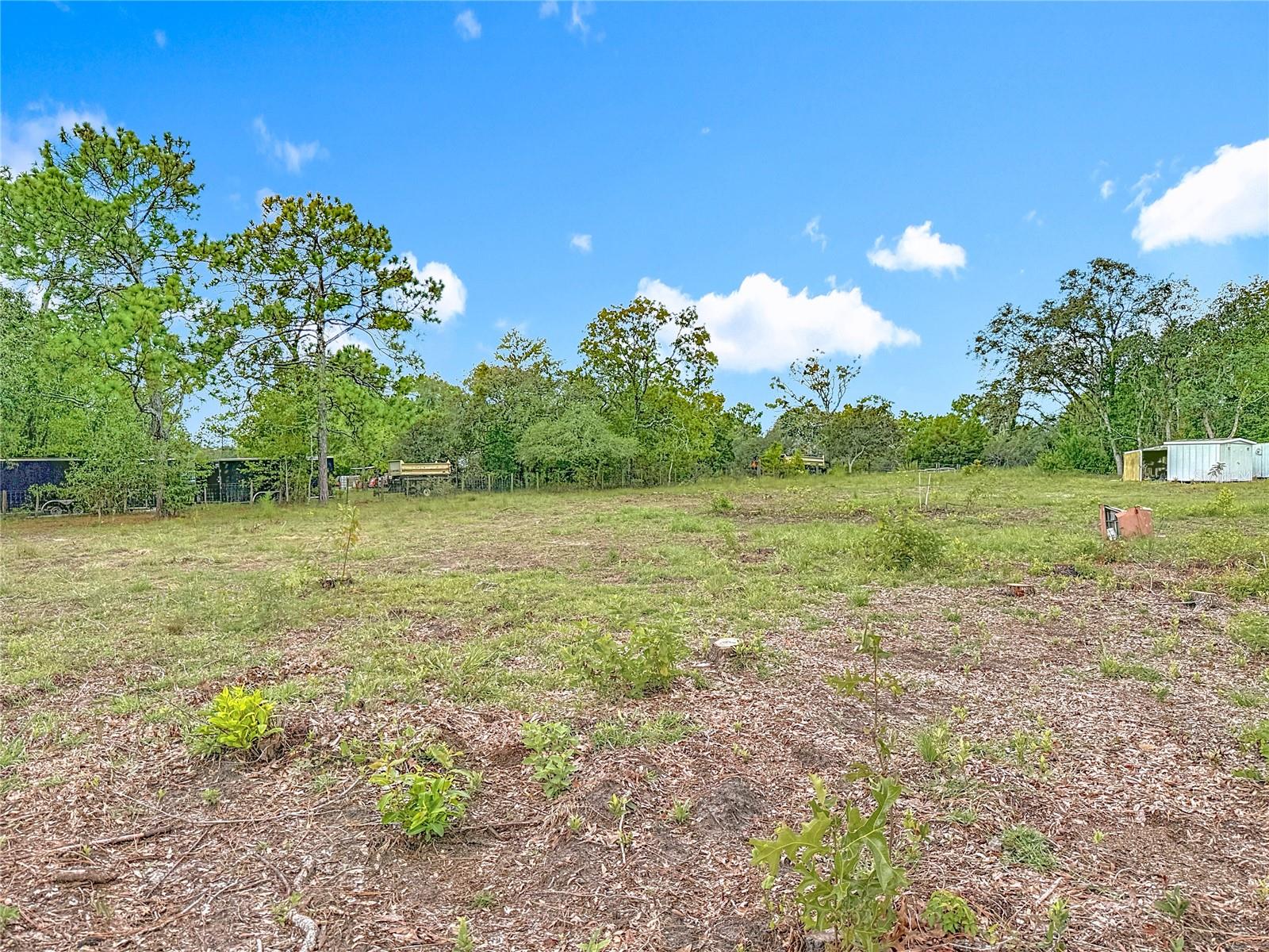 Image 64 of 74 For 13386 Taylor Street