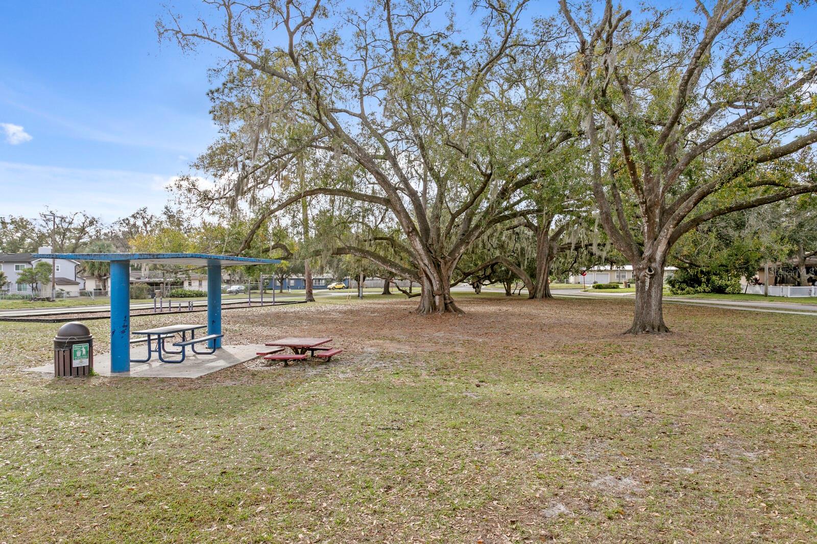 Image 57 of 59 For 309 Park Ridge Avenue